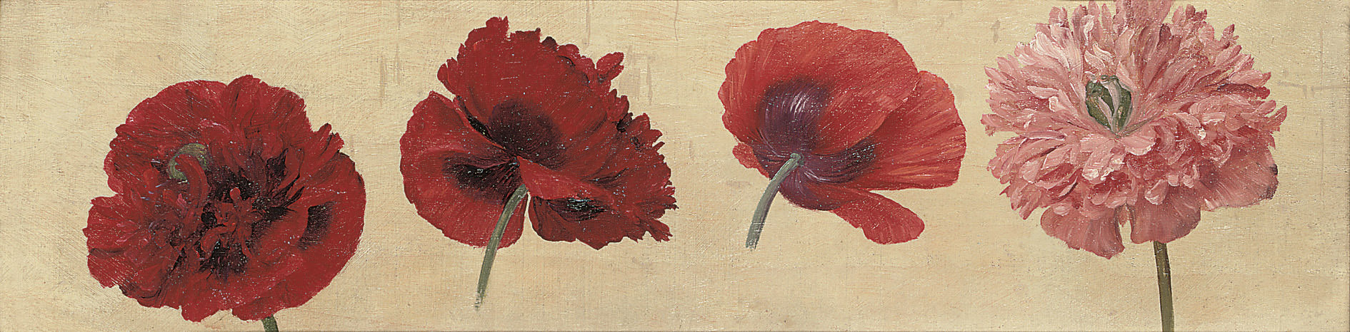 John William Godward — Маки