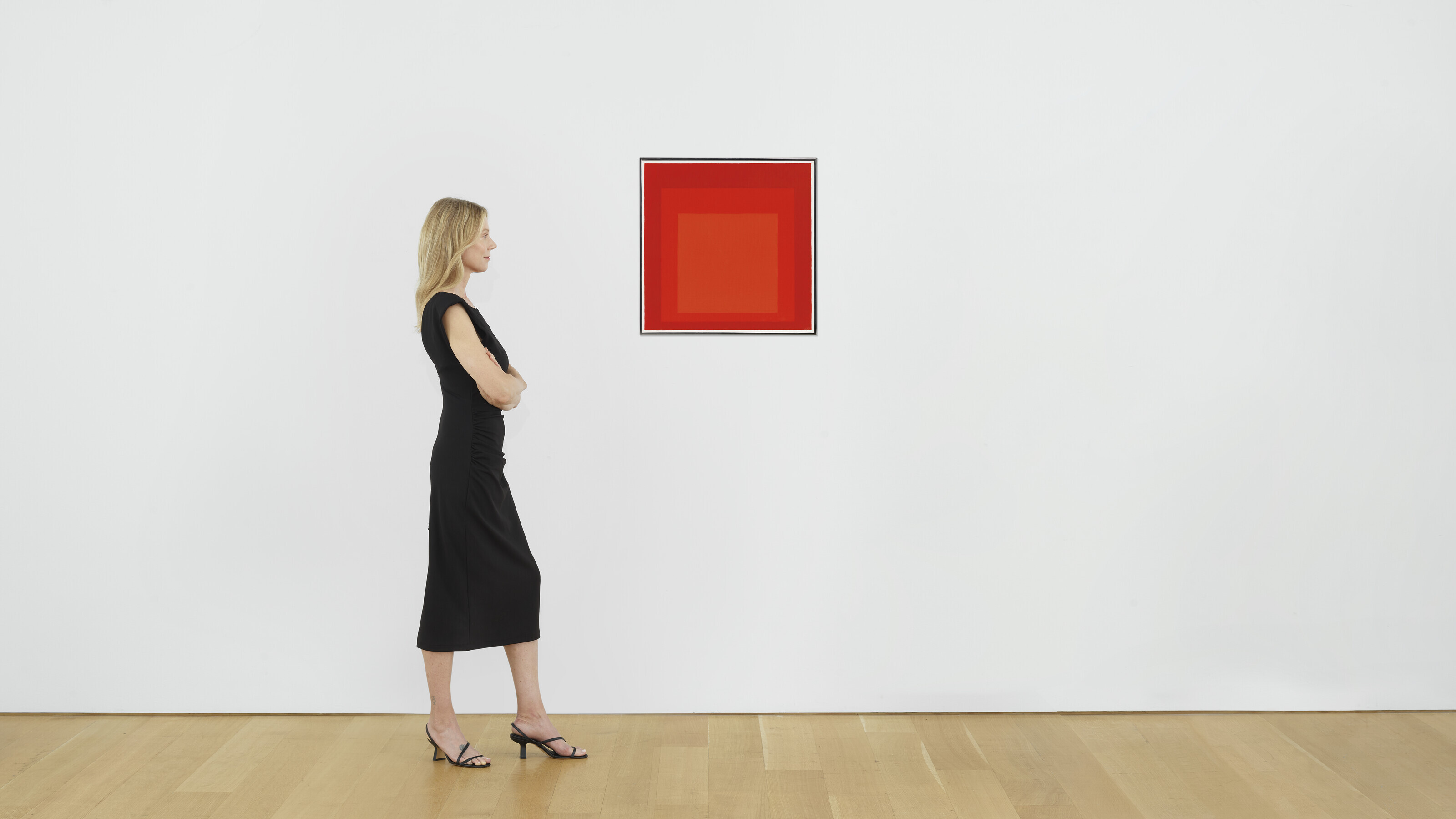 Josef Albers — Учитесь отдавать дань уважения Площади, изображение 2