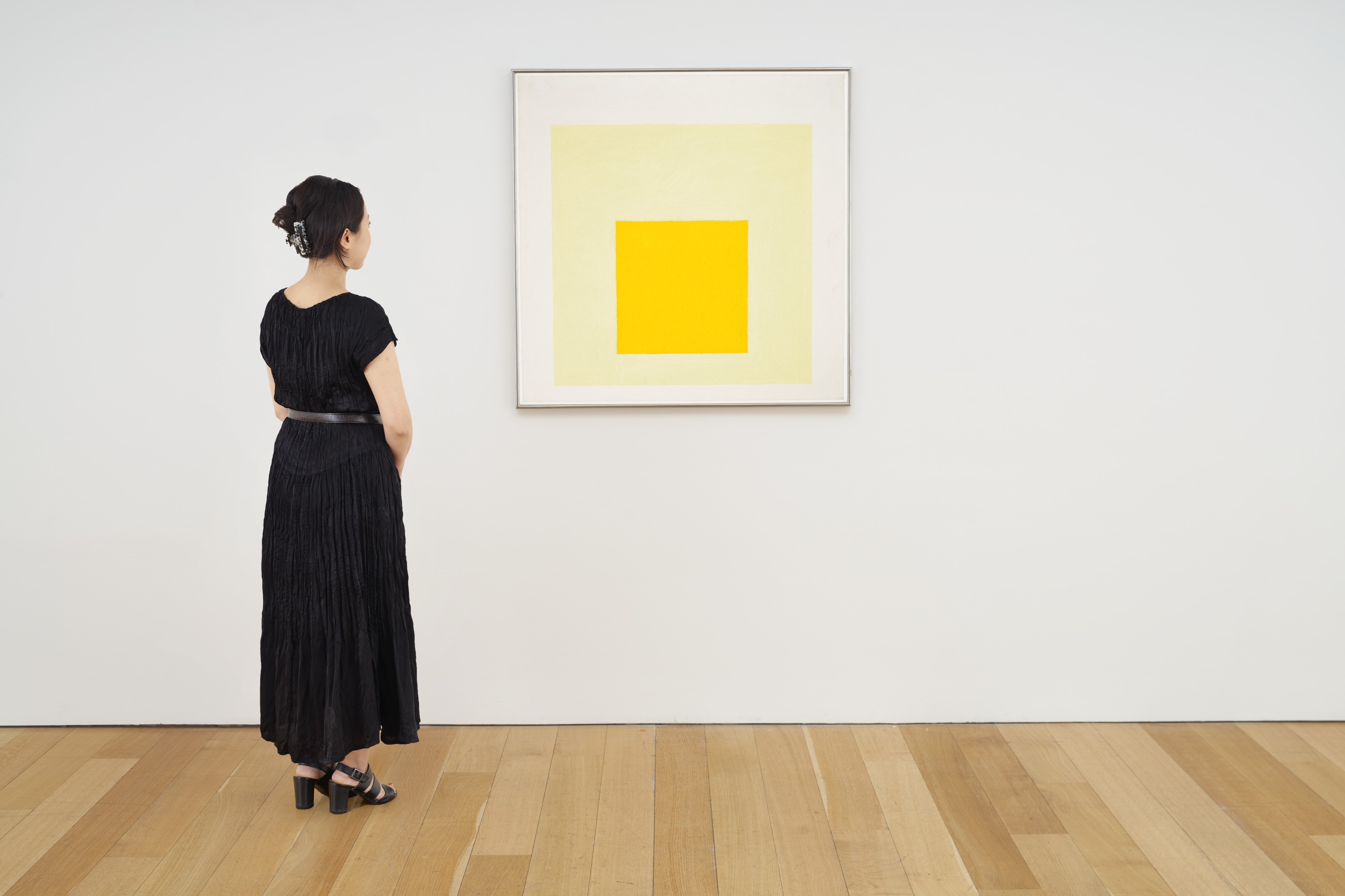 Josef Albers — Дань уважения площади: влияние, изображение 3