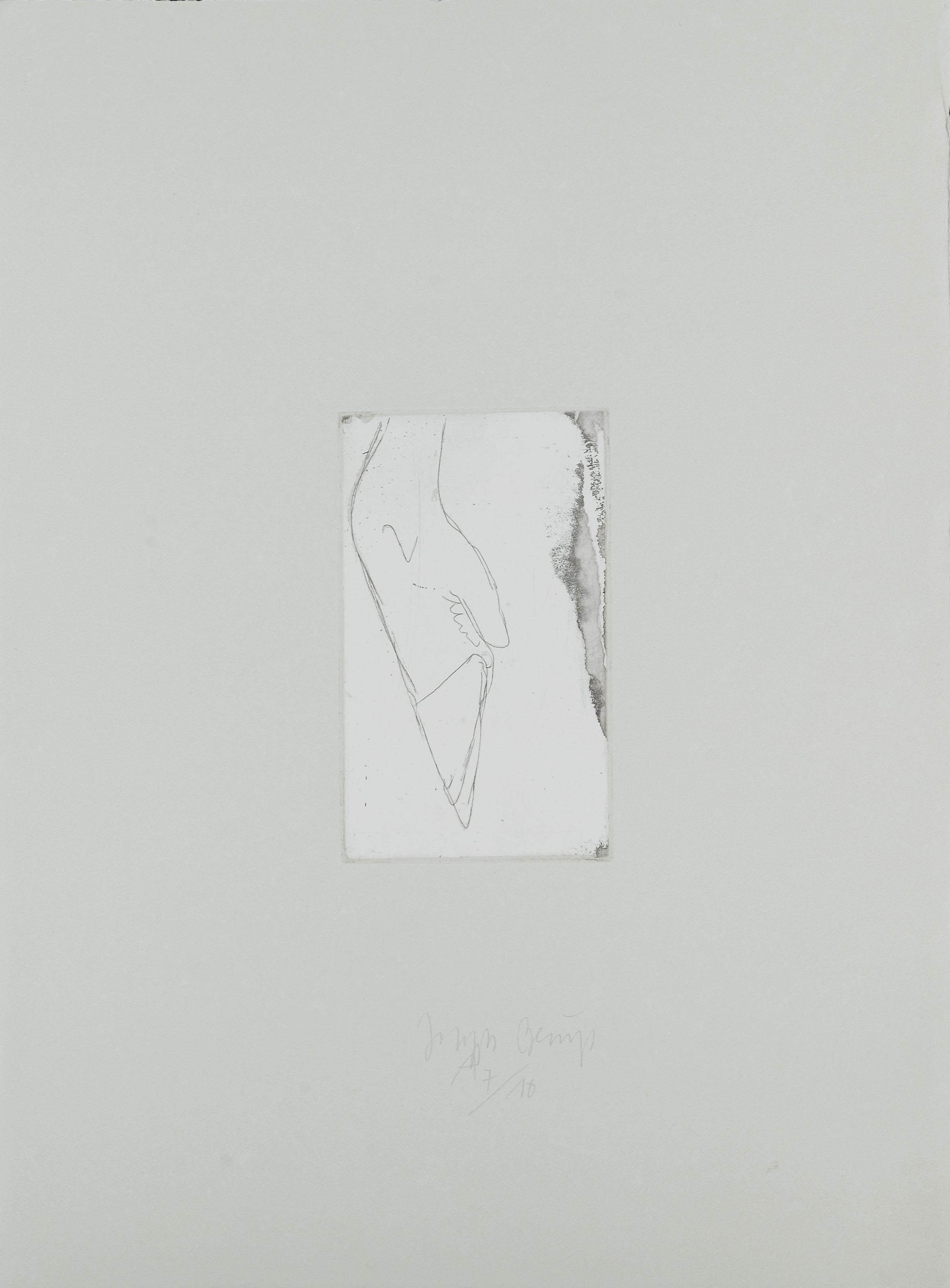 Joseph Beuys — Гирш-Фусс (Шеллманн, 531)
