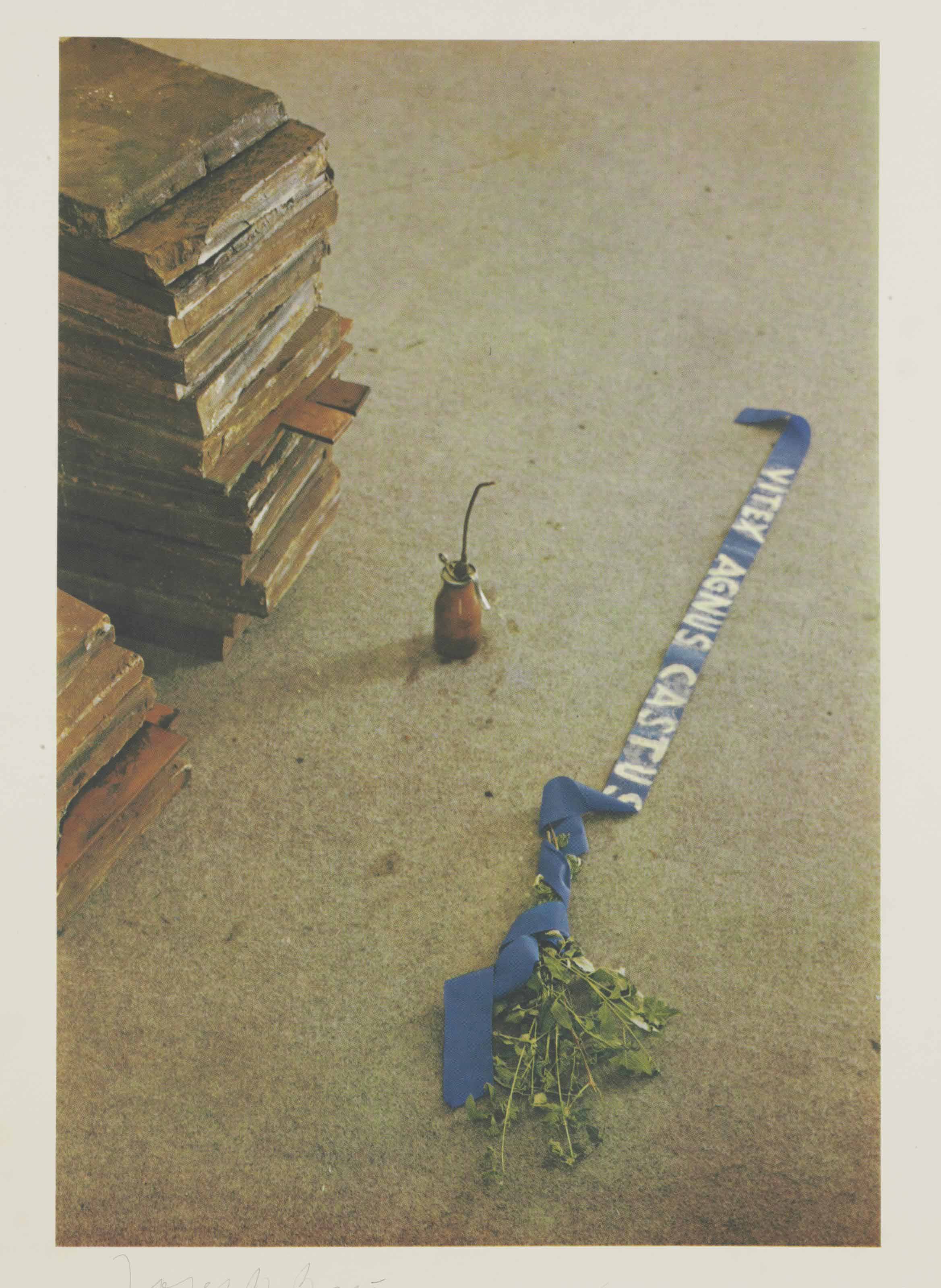 Joseph Beuys — Витекс ангус Кастус
