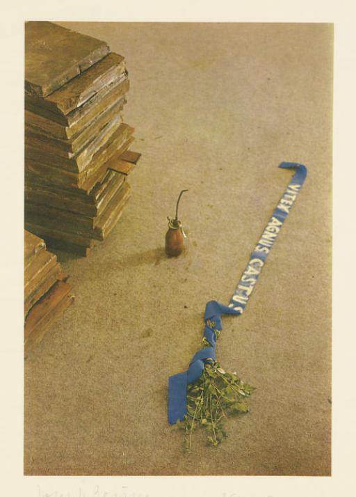 Joseph Beuys — Витекс агнус кастус (Sch. 73)
