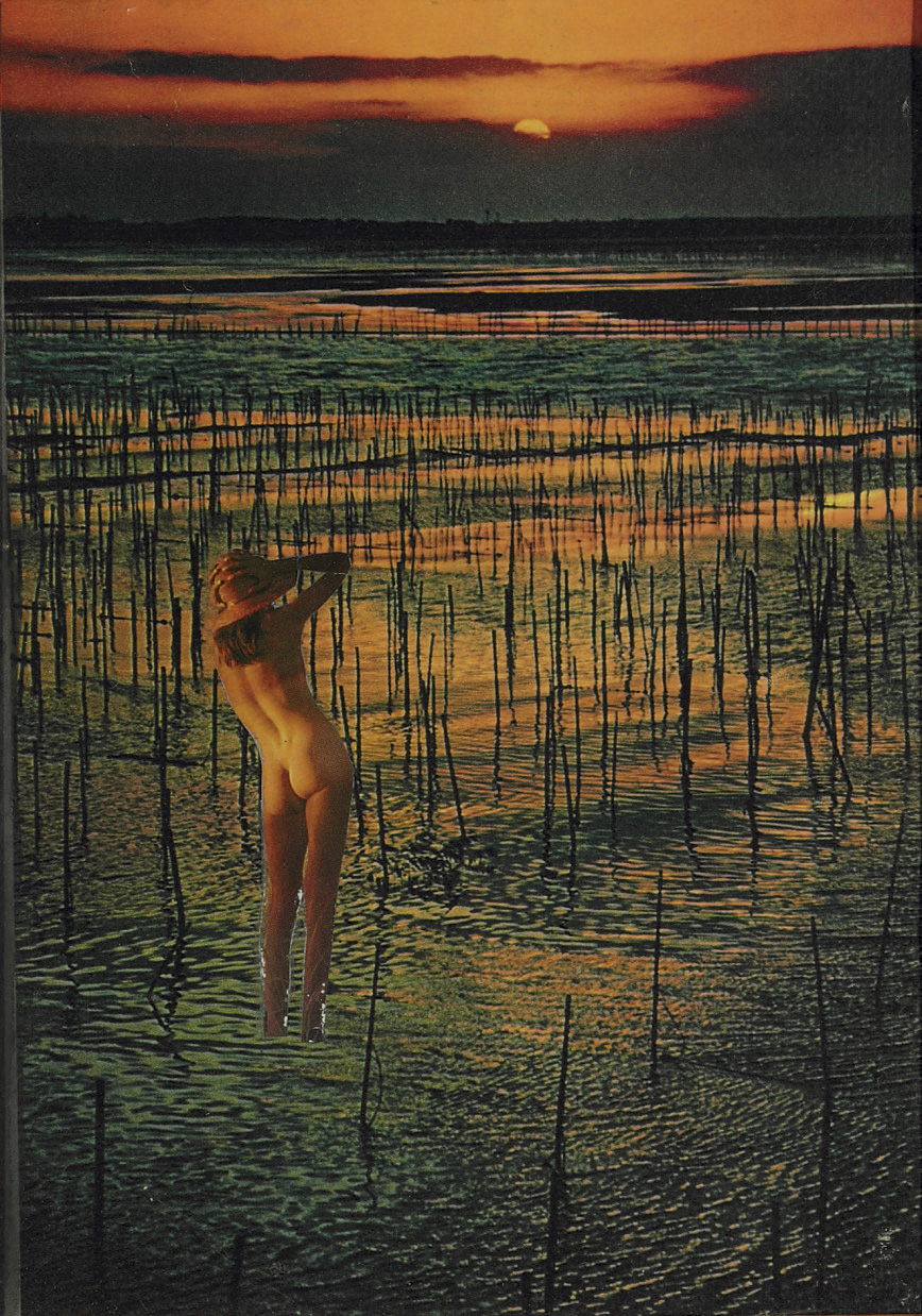 Joseph Cornell — Без названия (Обнаженная на болоте)