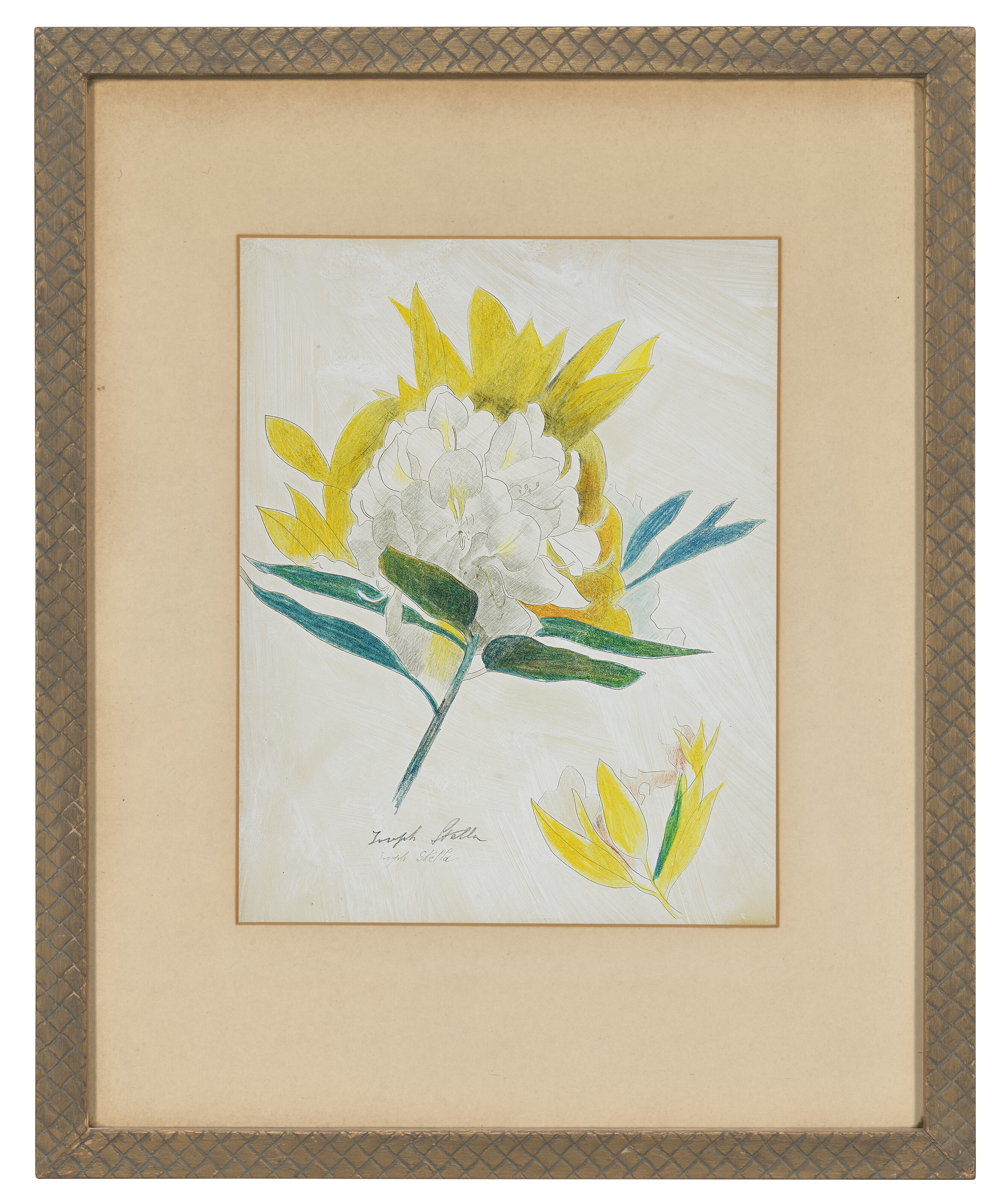 Joseph Stella — Цветок кактуса, изображение 2
