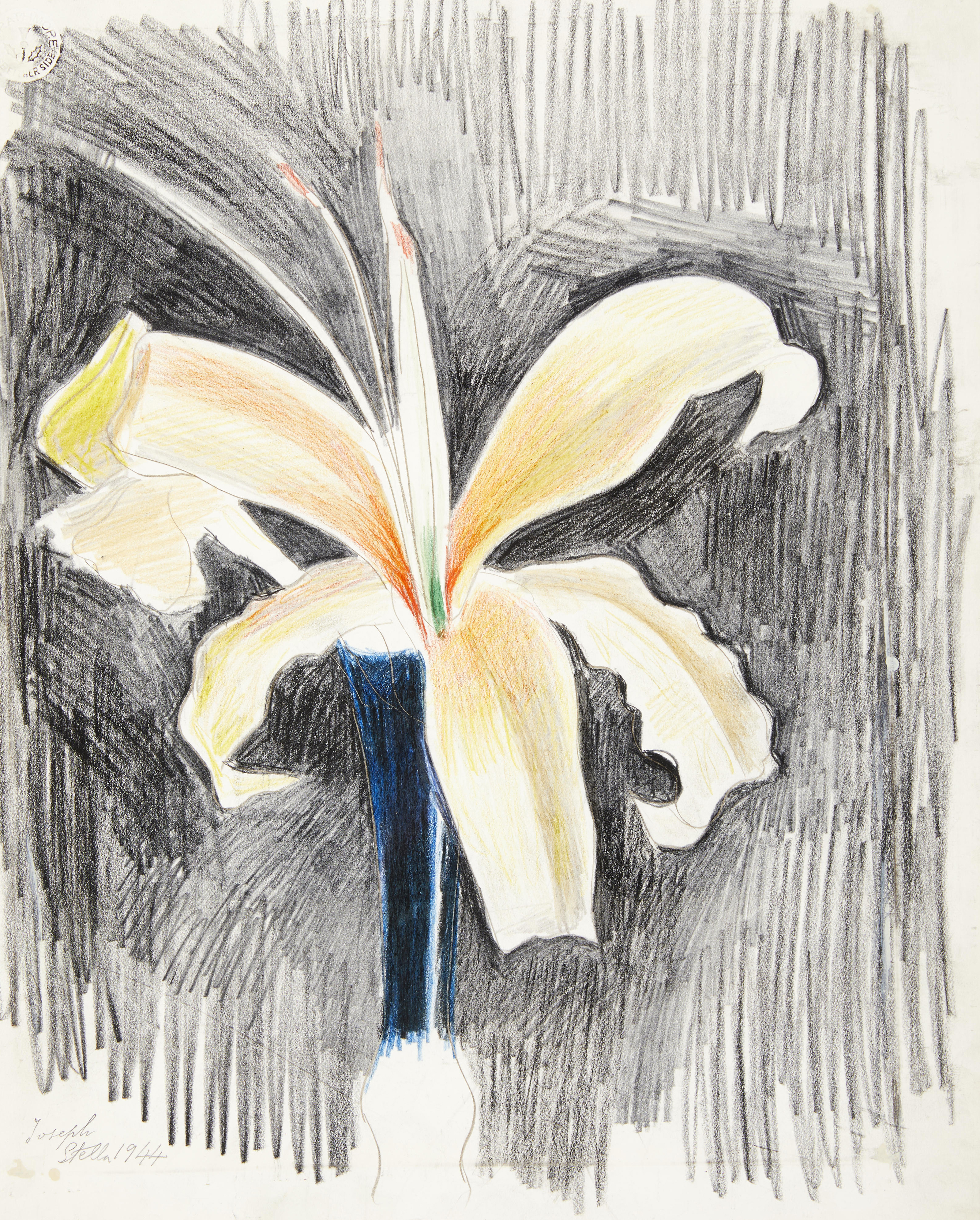Joseph Stella — Желтая лилия