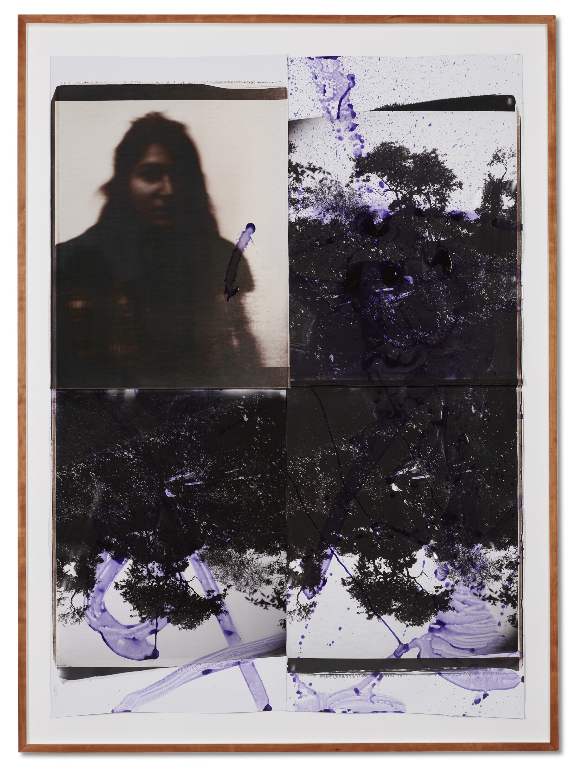 Julian Schnabel — Без названия, изображение 2