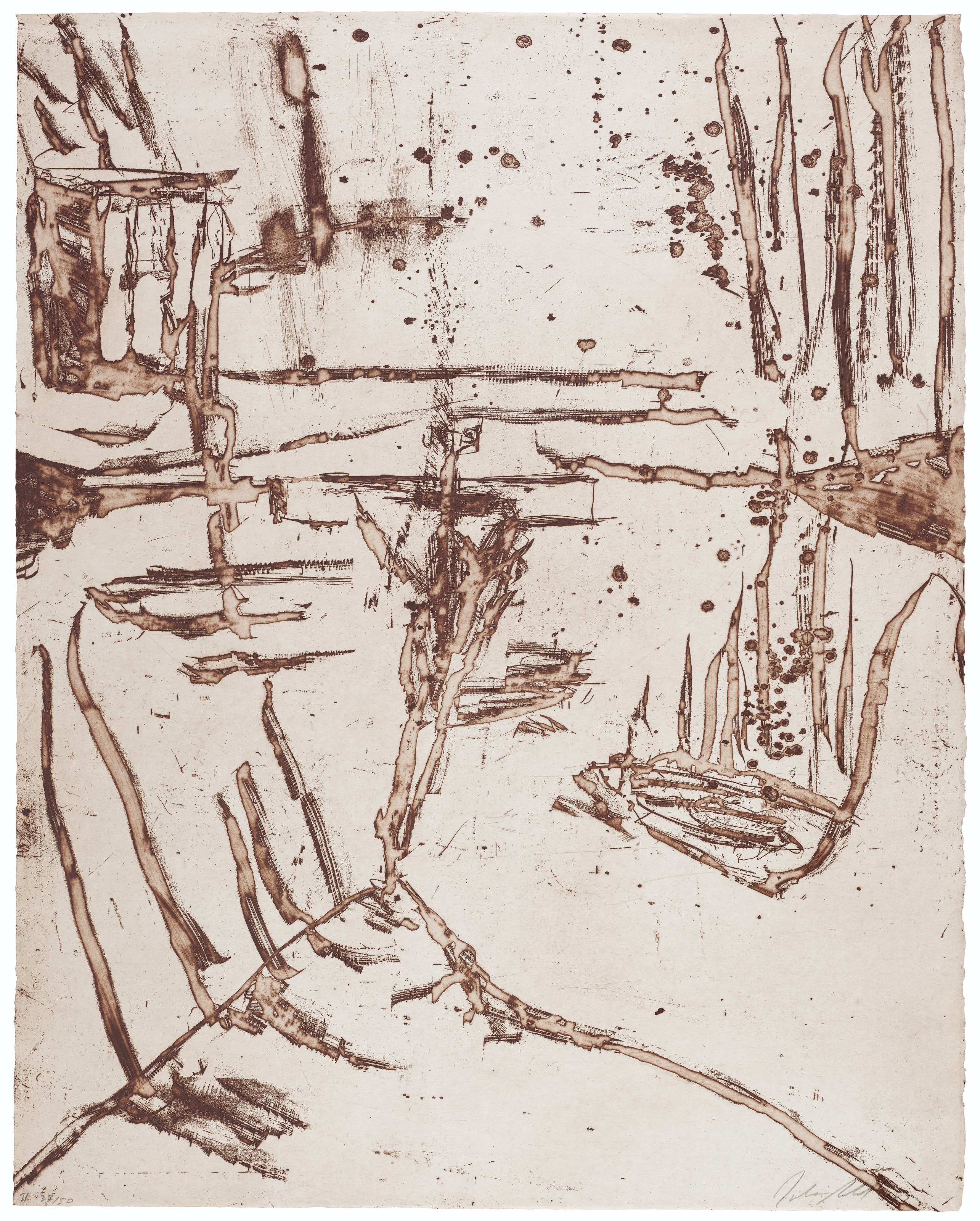 Julian Schnabel — Тод, Клетка без решеток, изображение 3