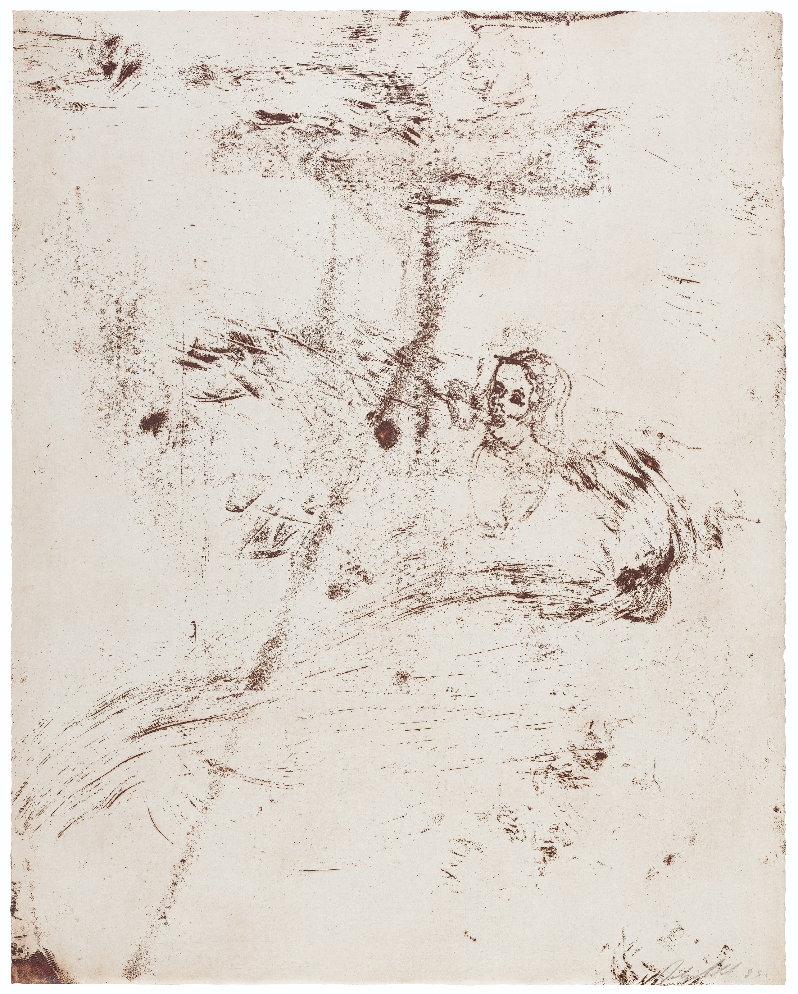 Julian Schnabel — Тод, Клетка без решеток, изображение 5