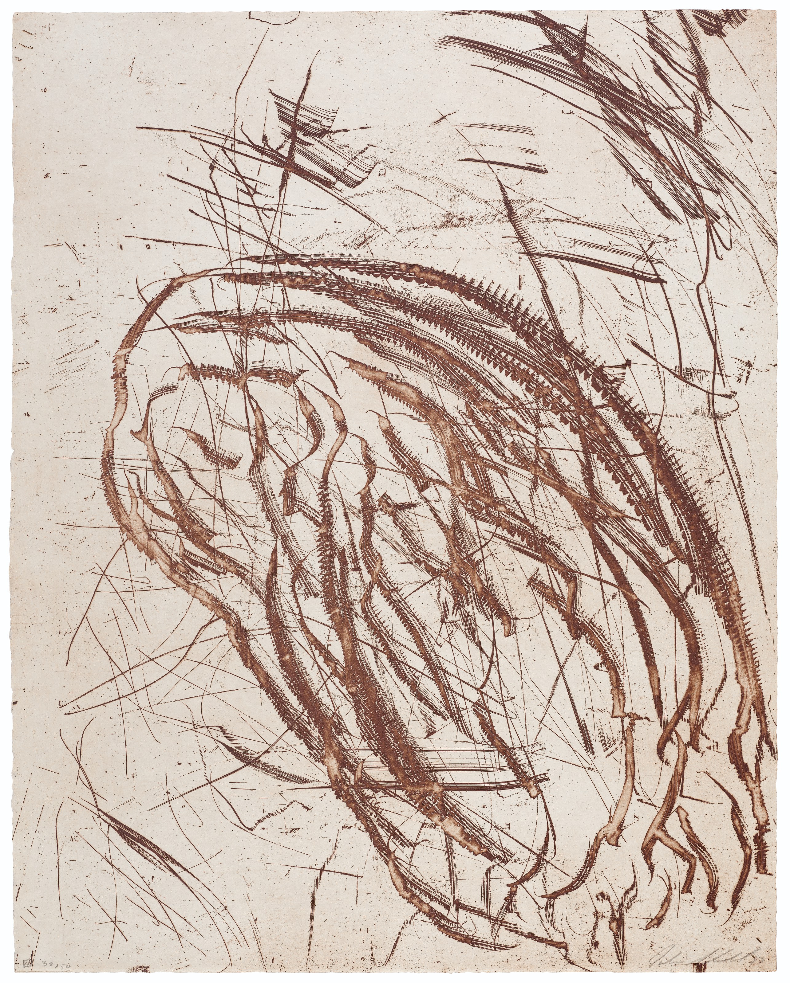 Julian Schnabel — Тод, Клетка без решеток, изображение 8