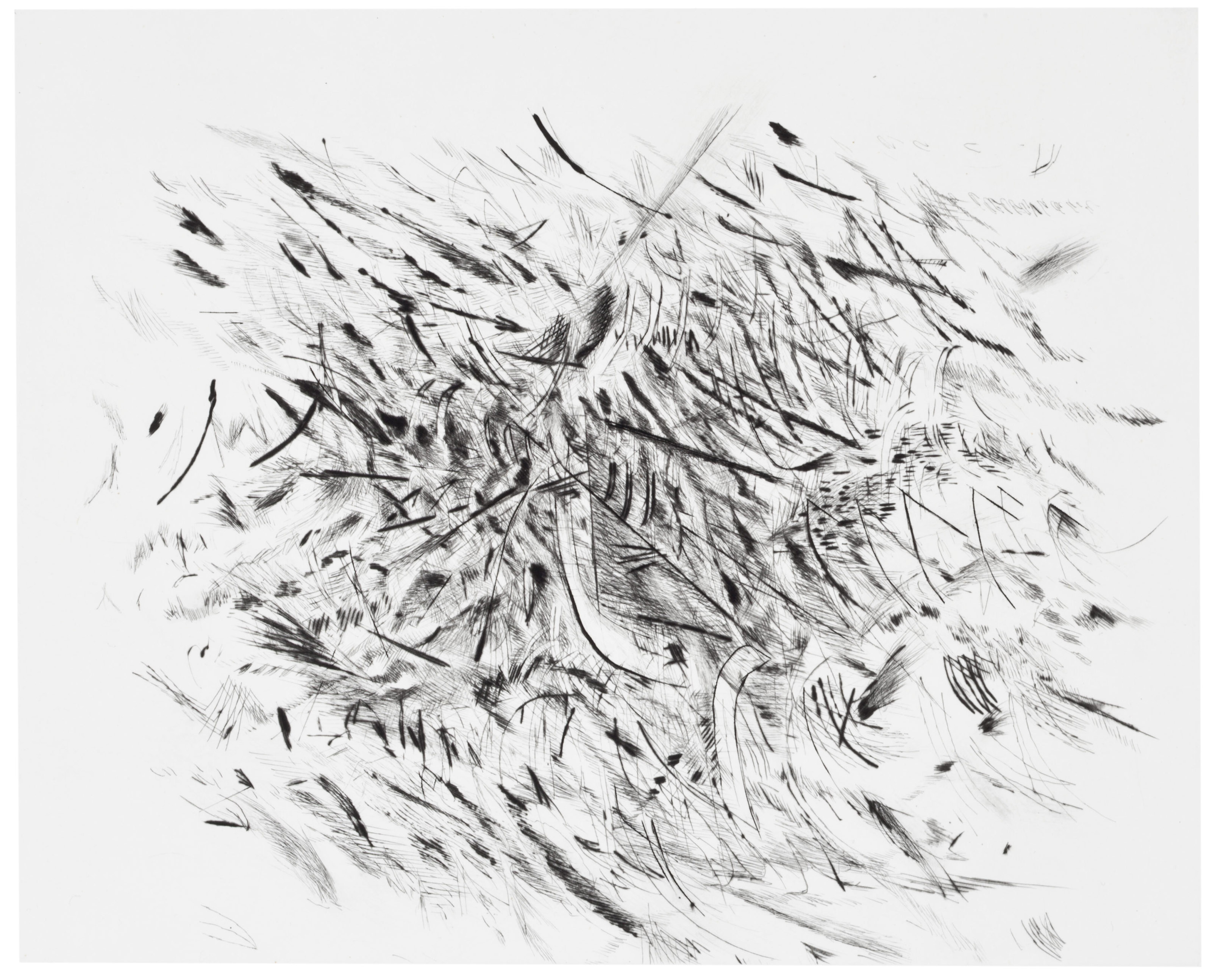 Julie Mehretu — Хака, от художников для Обамы