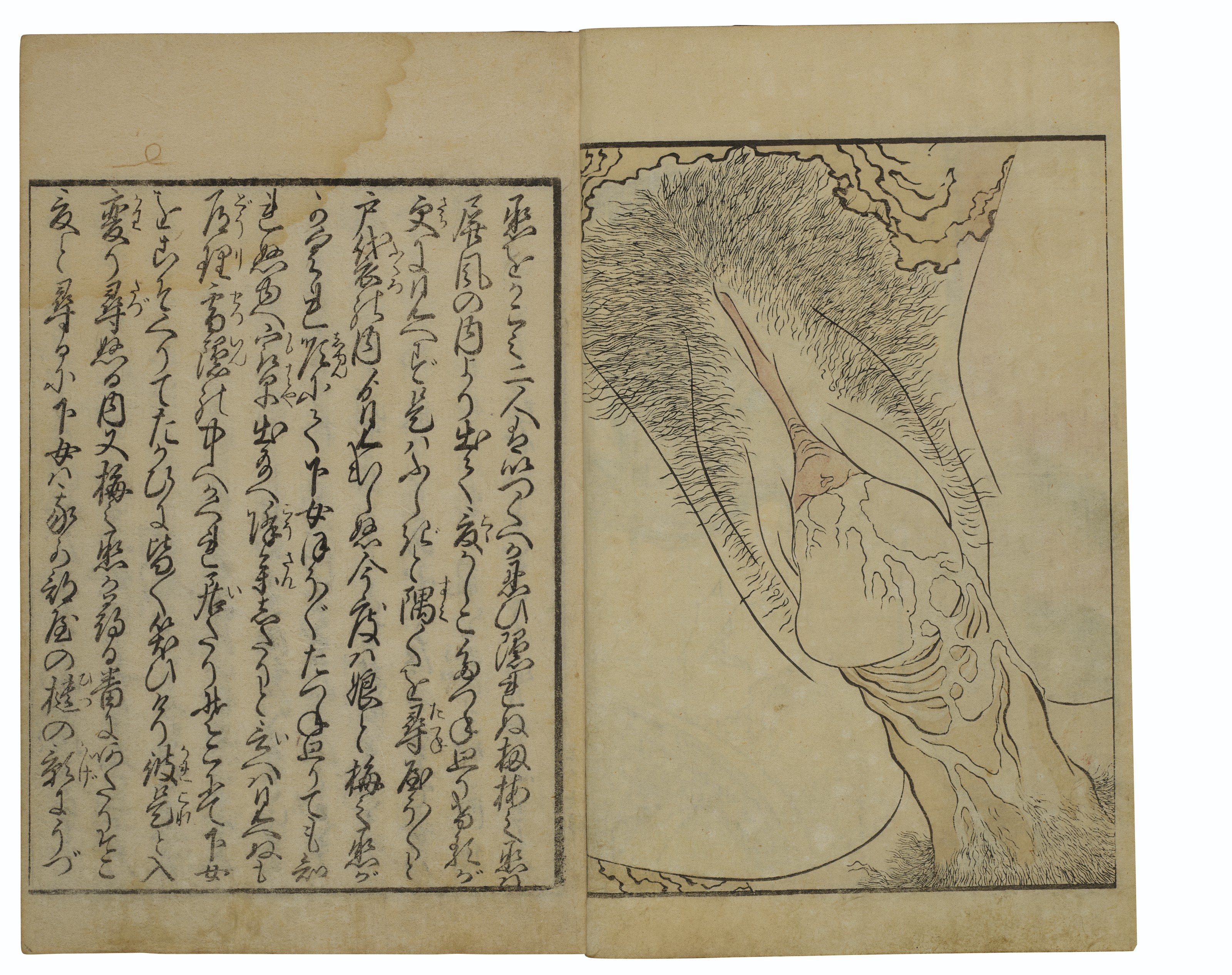 Katsushika Hokusai — Киноэ но Комацу (Тоска по любви), изображение 9