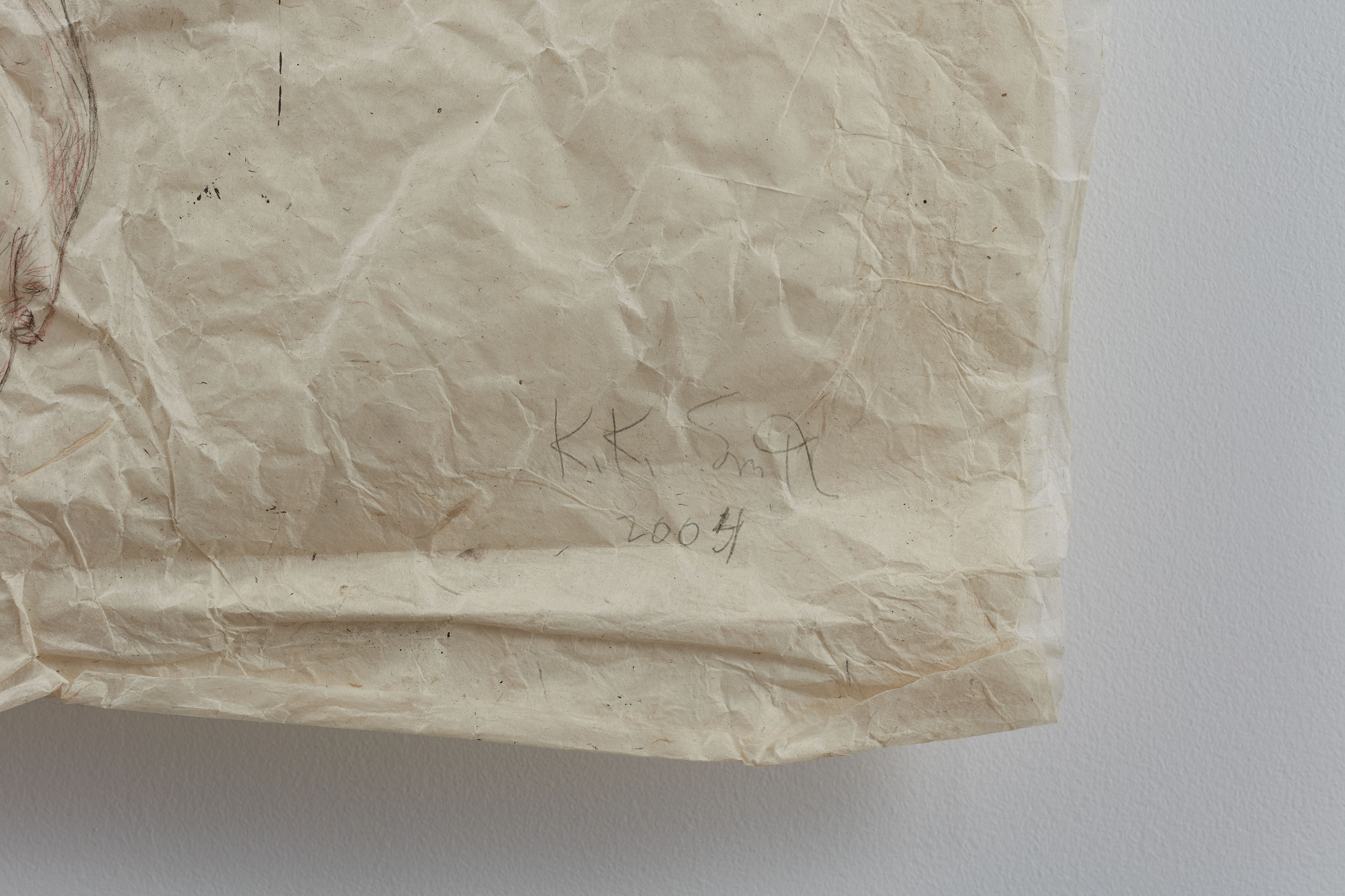 Kiki Smith — Двойной шестигранник, изображение 3