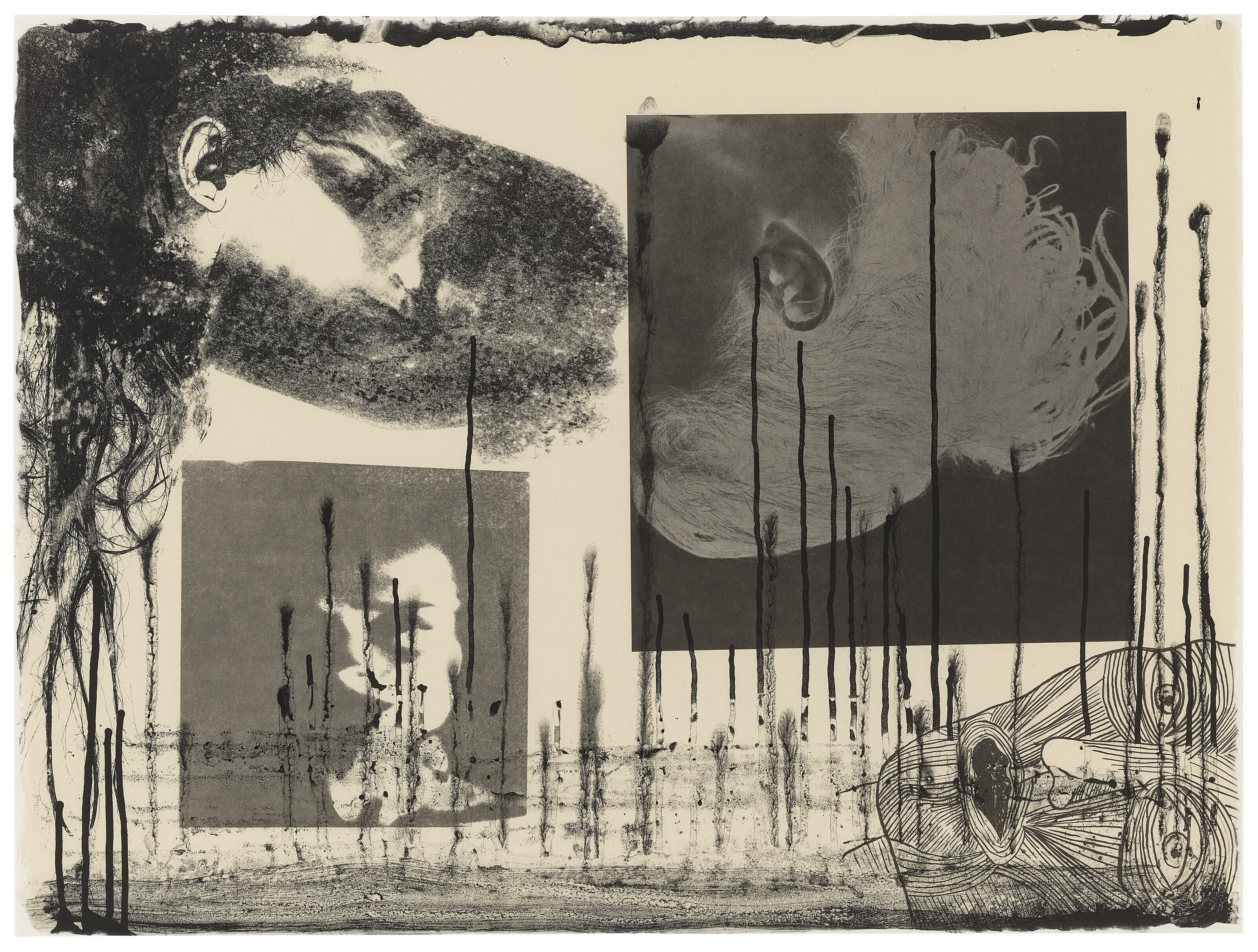 Kiki Smith — Жемчуг Банши, изображение 3