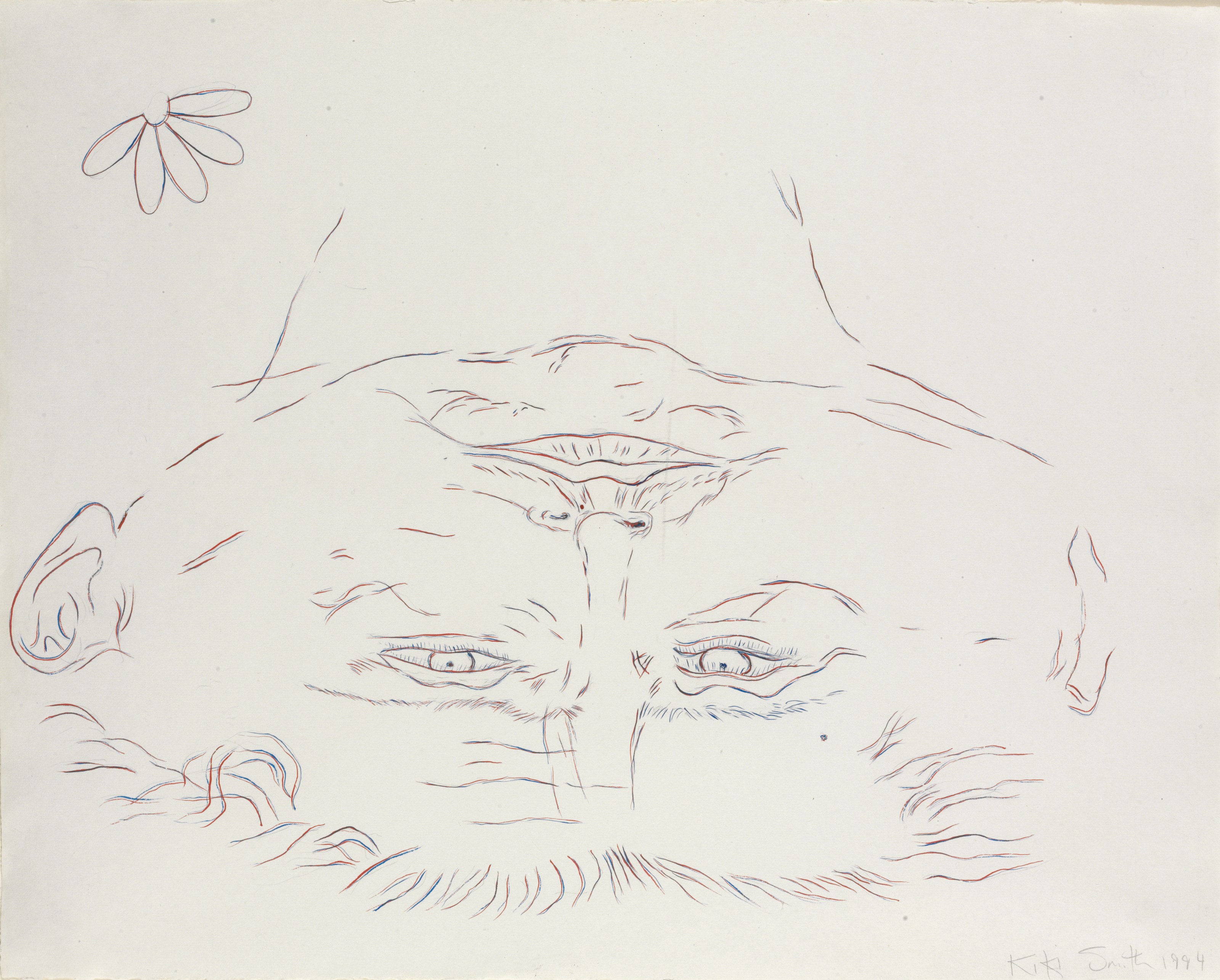 Kiki Smith — Развернутая голова
