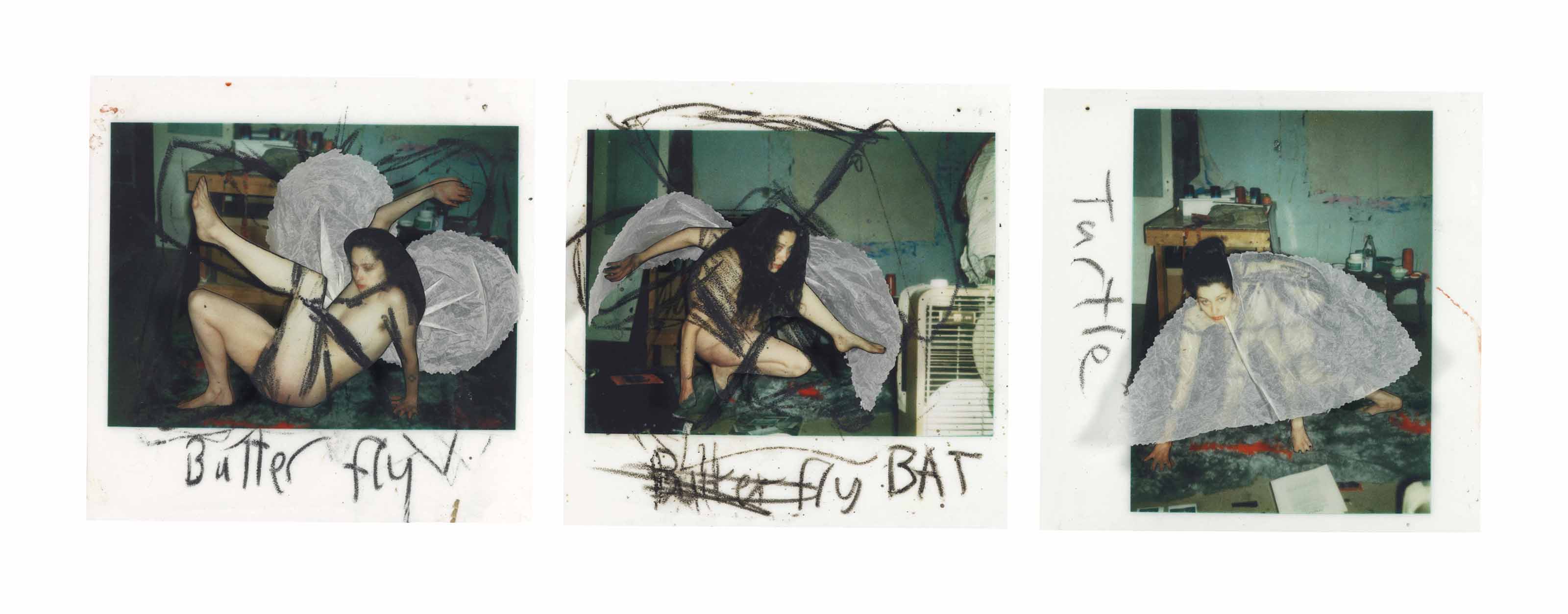 Kiki Smith — Бабочка, Летучая мышь, Черепаха