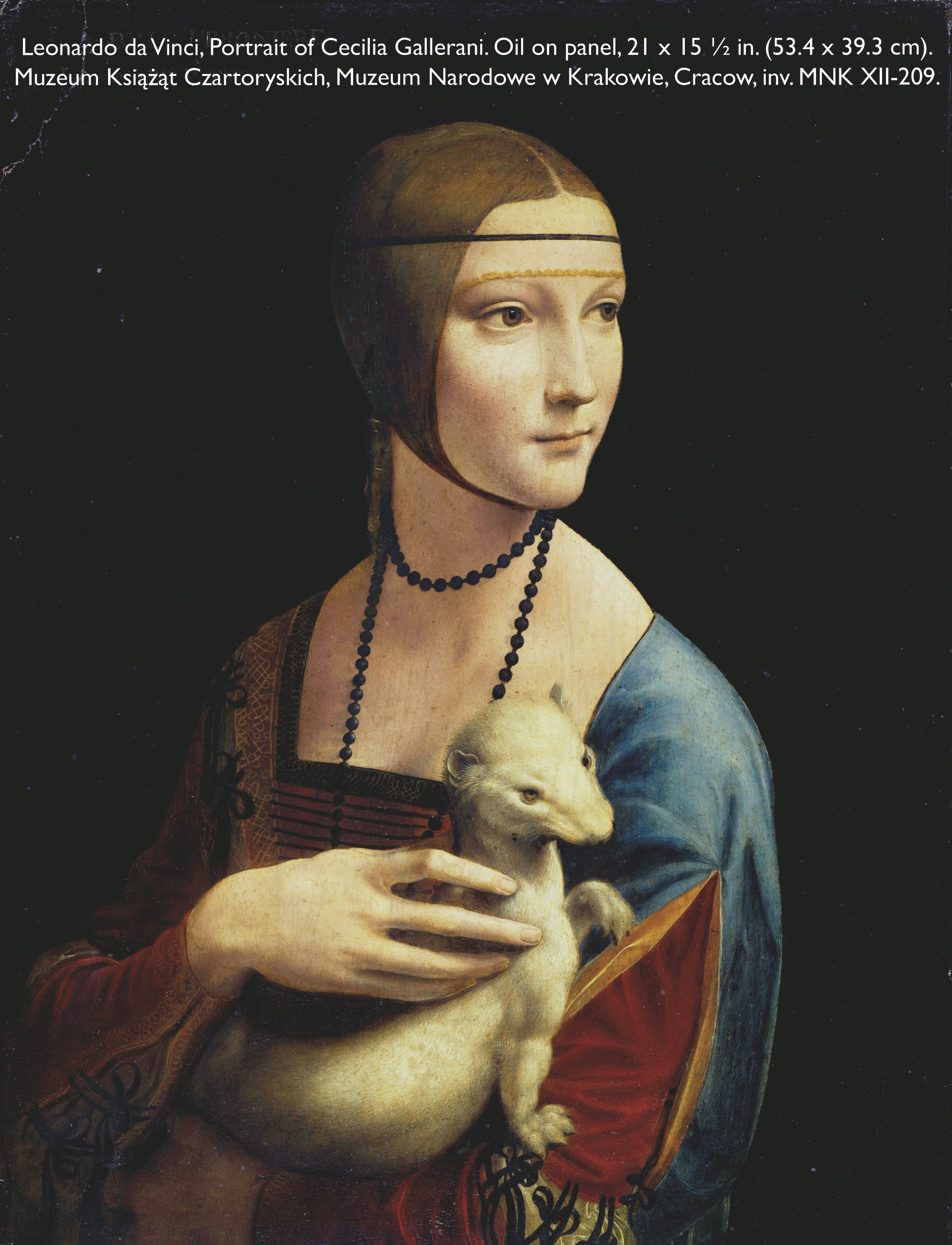 Leonardo da Vinci — Голова медведя, изображение 5