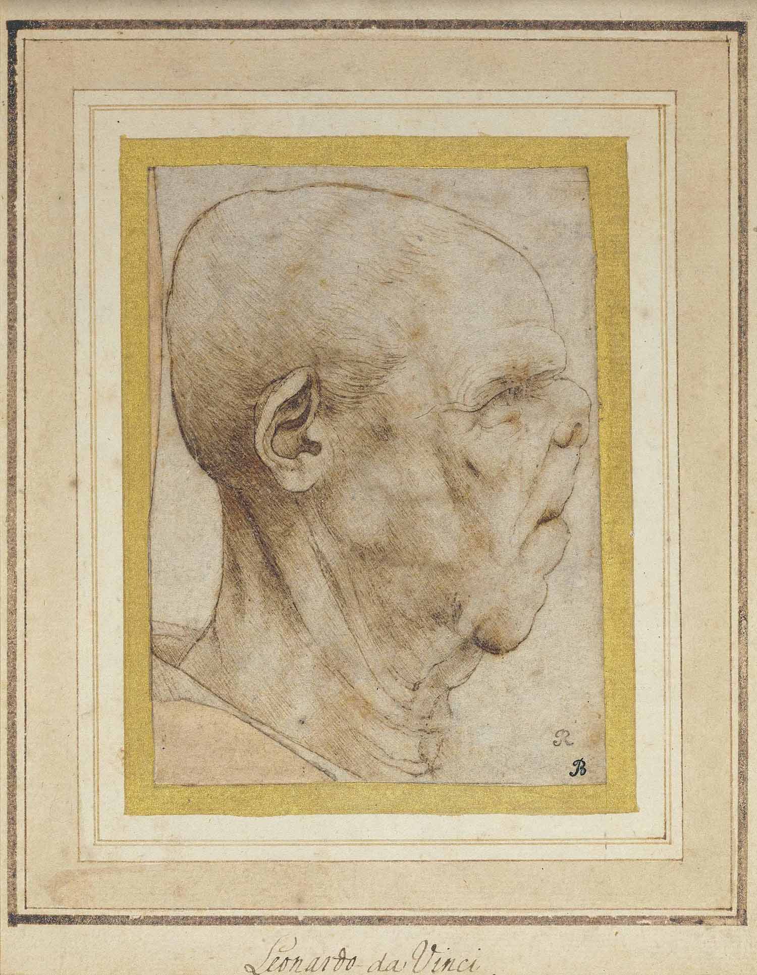 Leonardo da Vinci — Карикатура на голову старика, повернутую в профиль справа