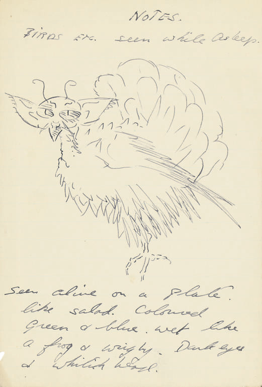 Leonora Carrington — Птицы, увиденные во сне; два похожих наброска, выполненных одной и той же рукой; несколько записных книжек с набросками и записями, сделанными одной и той же рукой.