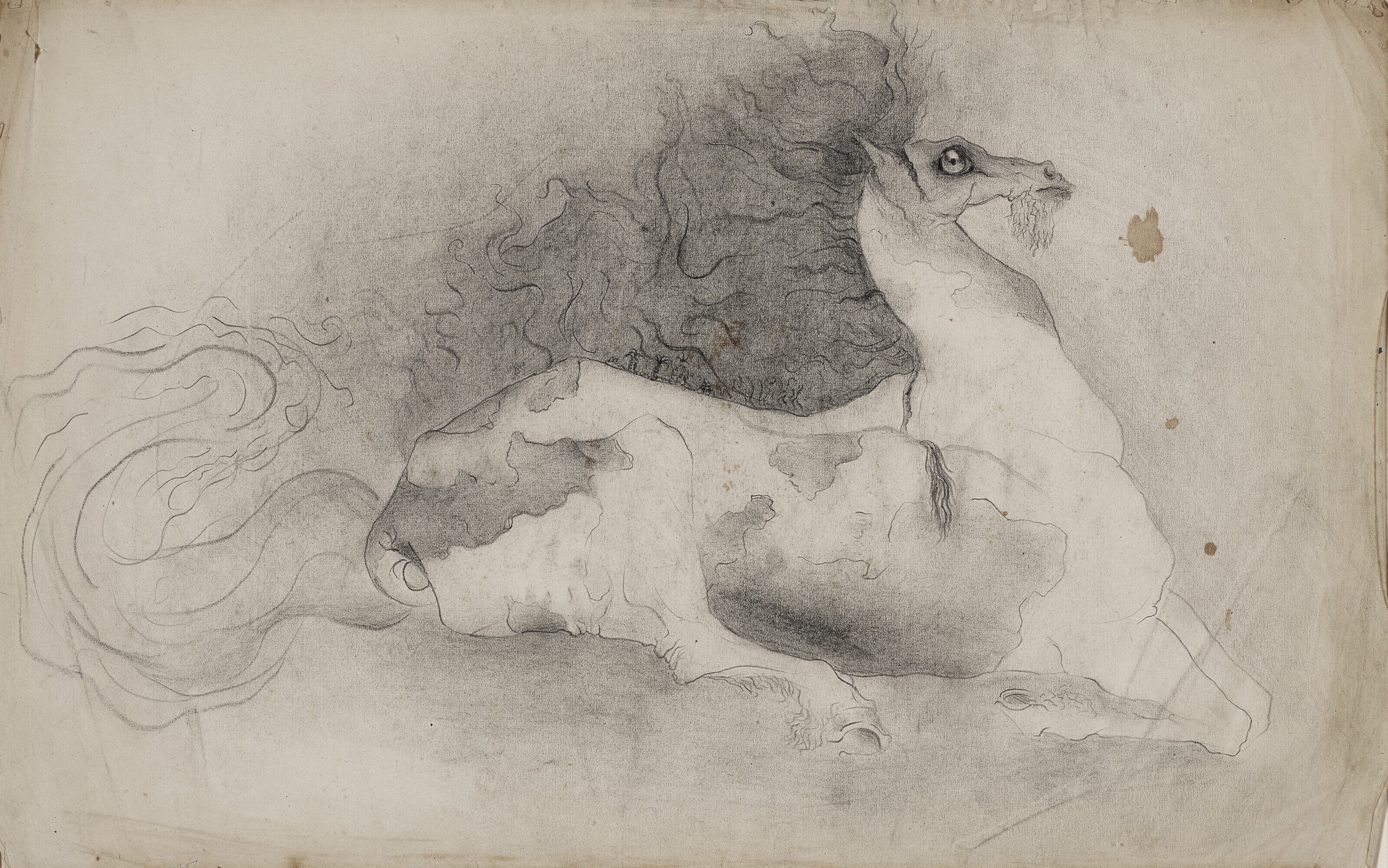 Leonora Carrington — Лист с изображением бородатой лошади из альбома для зарисовок за сентябрь 1940 года (санаторий Моралес, Сантандер).
