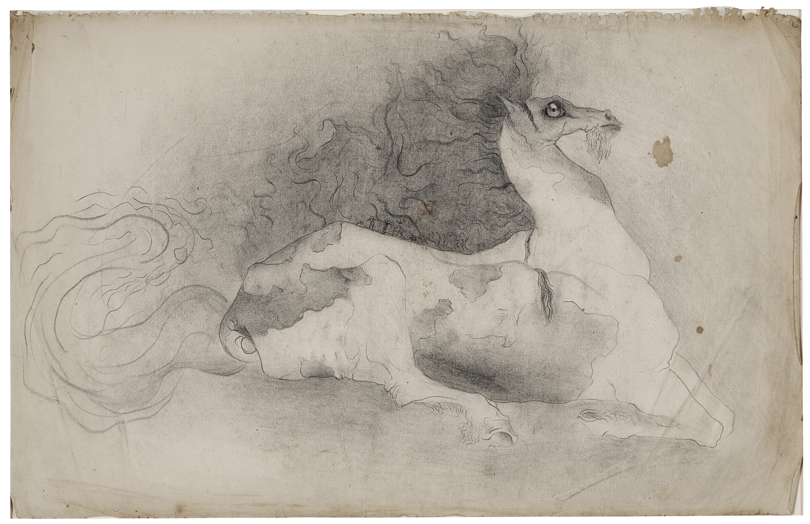 Leonora Carrington — Лист с изображением бородатой лошади из альбома для зарисовок за сентябрь 1940 года (санаторий Моралес, Сантандер)., изображение 2