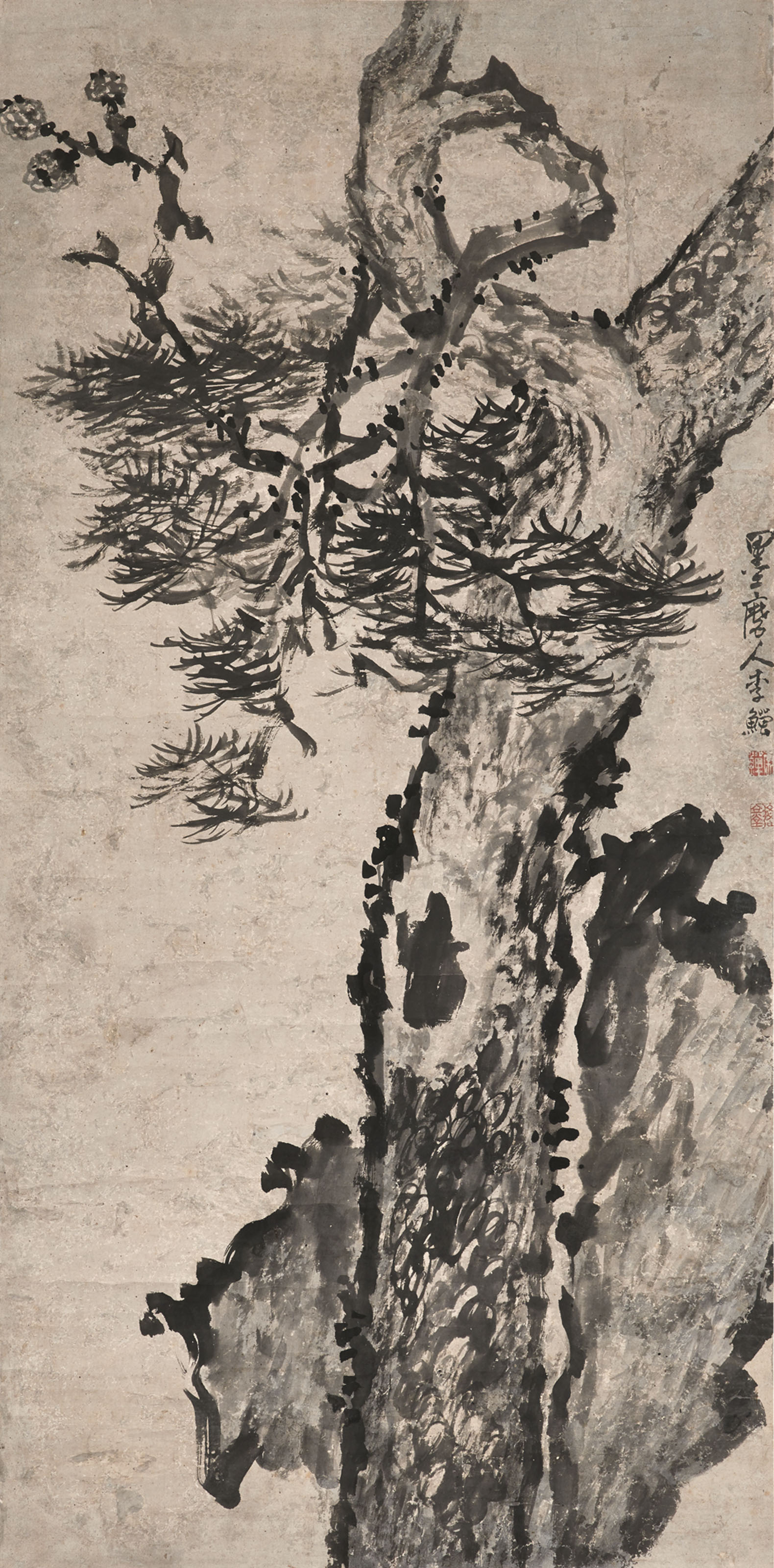 Li Shan — сосна