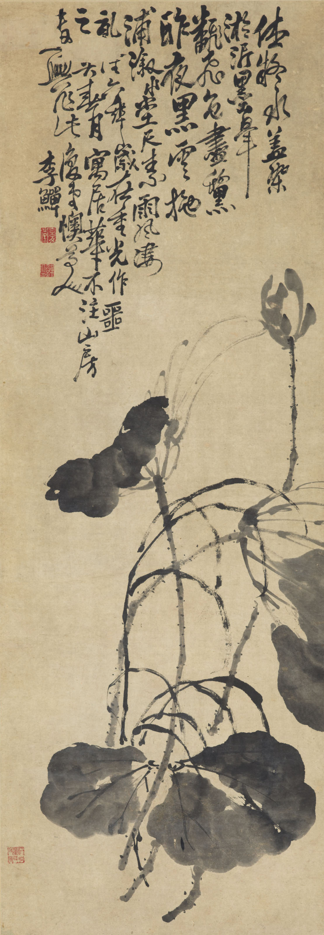 Li Shan — Лотос