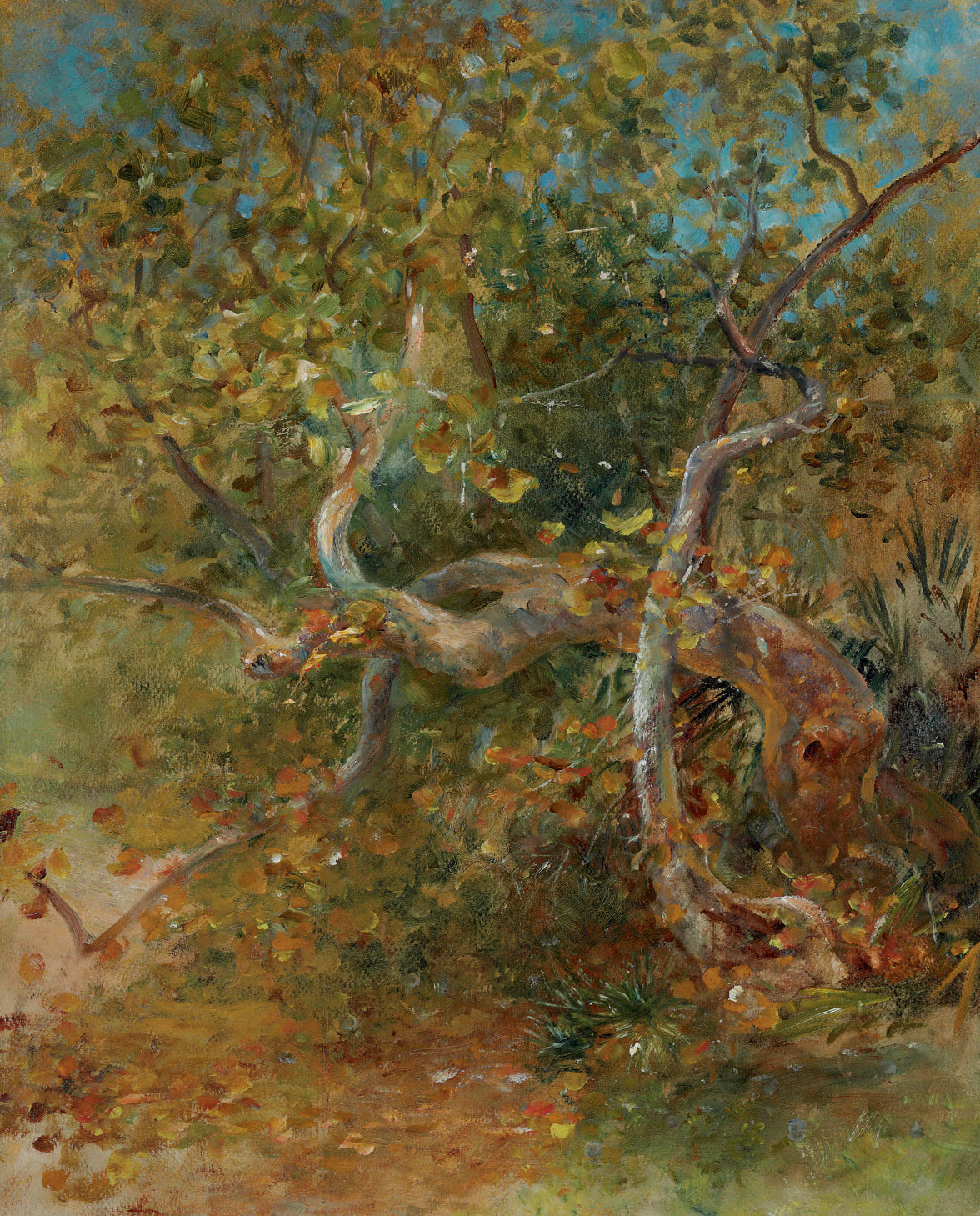 Louis Comfort Tiffany — Дерево и листья, Комфорт Лодж, Флорида