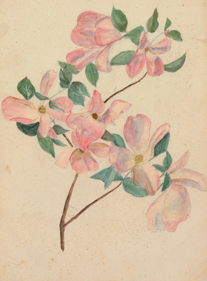 Louis Comfort Tiffany — Ветка кизила