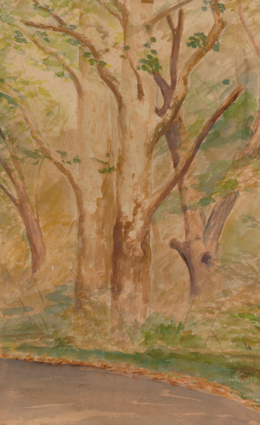 Louis Comfort Tiffany — Сикоморы, Главная аллея, Лорелтон-Холл