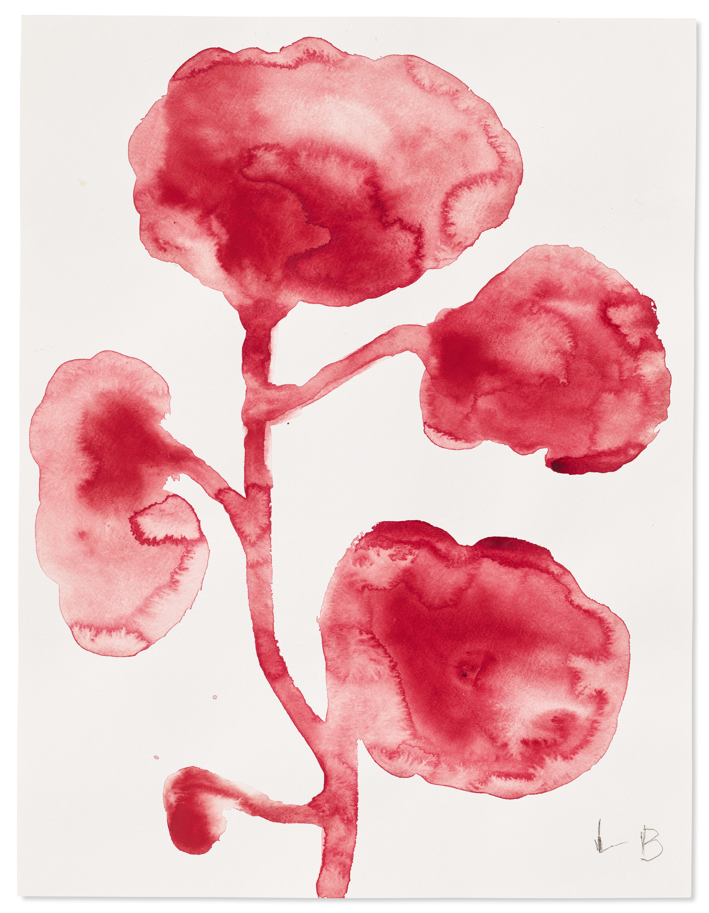 Louise Bourgeois — Цветы, изображение 11