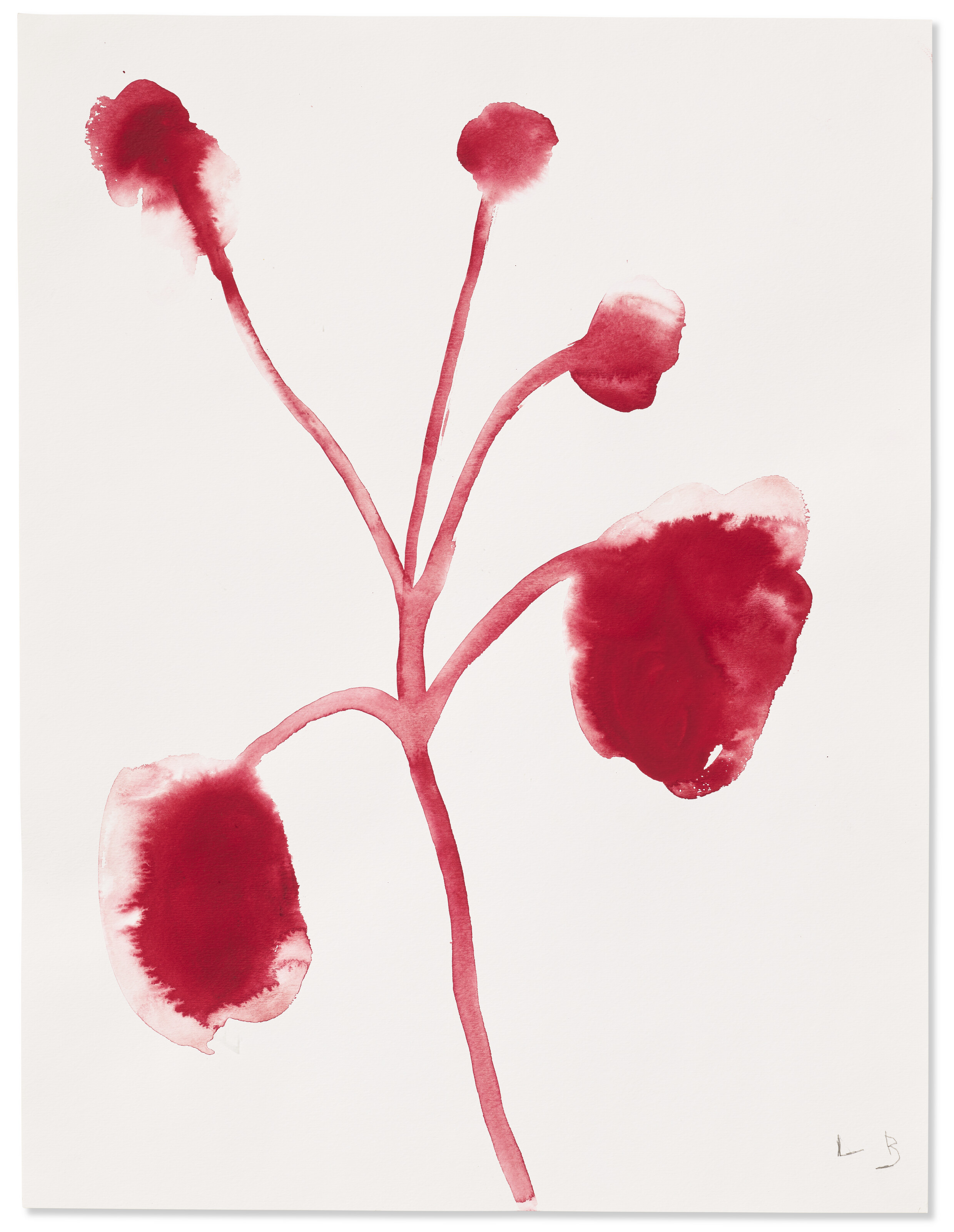 Louise Bourgeois — Цветы, изображение 14