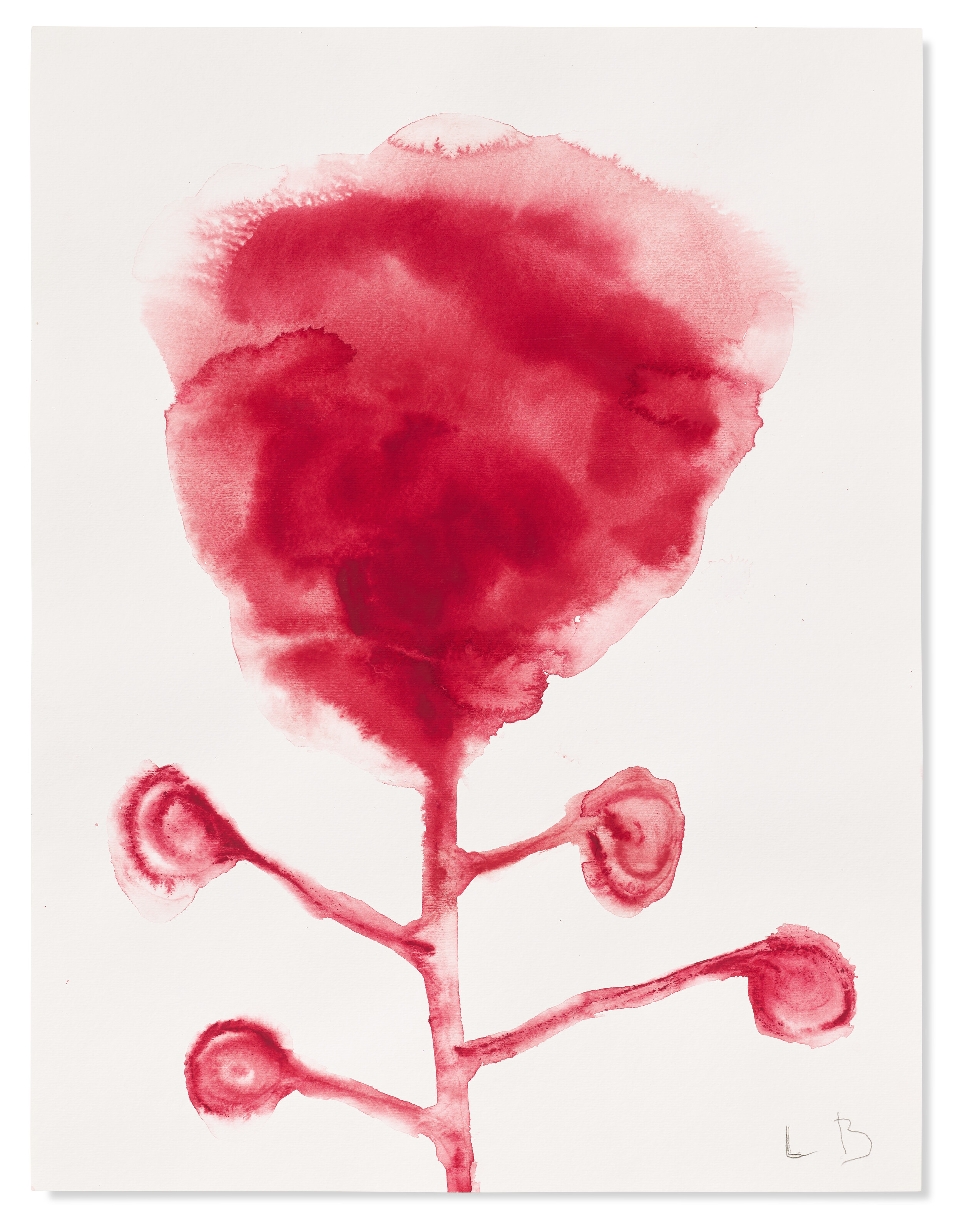 Louise Bourgeois — Цветы, изображение 8