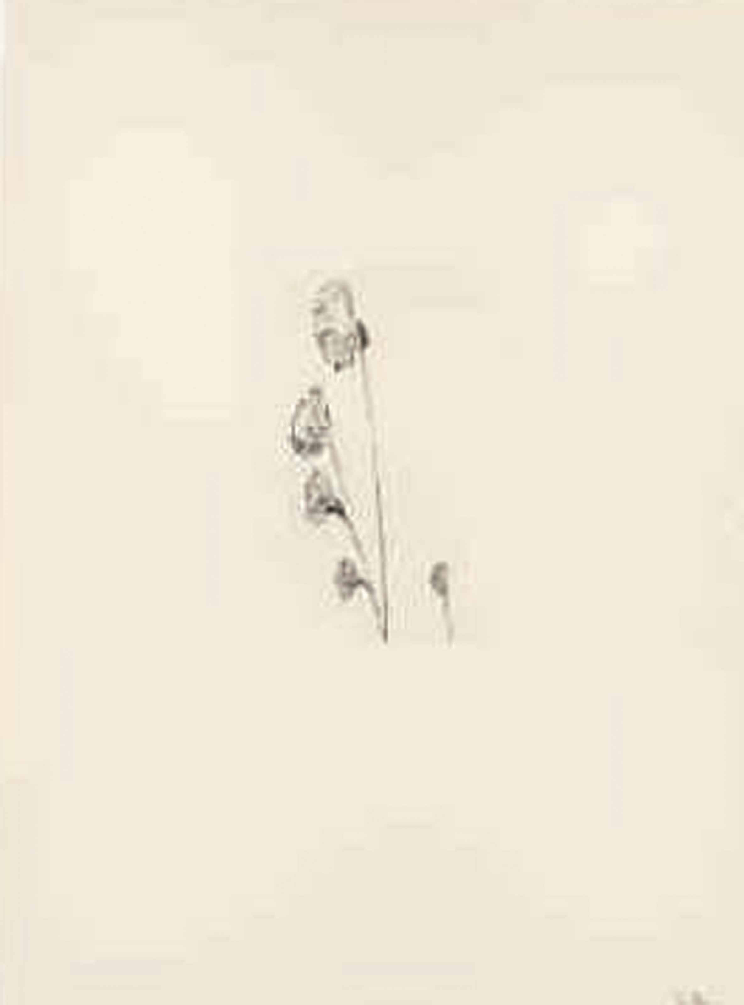 Louise Bourgeois — Невзрачная Девушка, Целая Жизнь, изображение 3