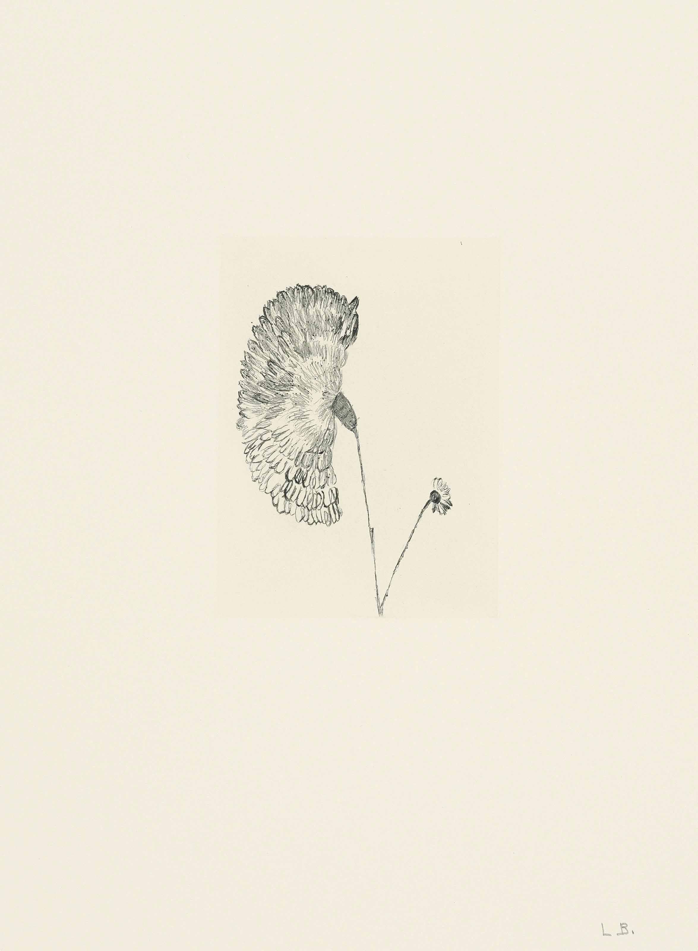 Louise Bourgeois — Невзрачная Девушка, Целая Жизнь, изображение 4