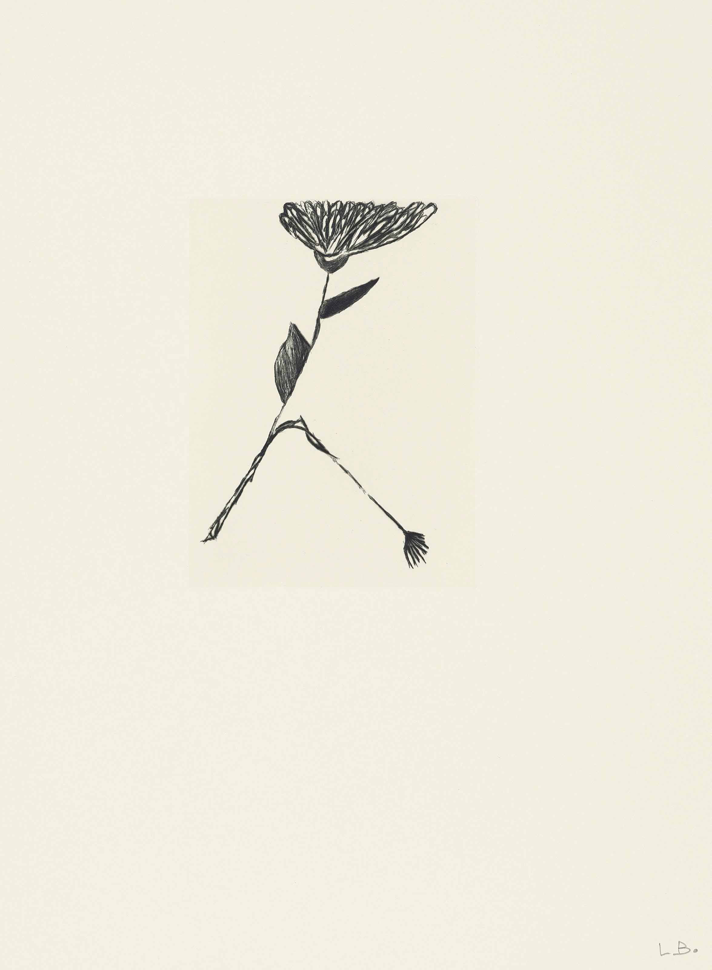 Louise Bourgeois — Невзрачная Девушка, Целая Жизнь, изображение 5