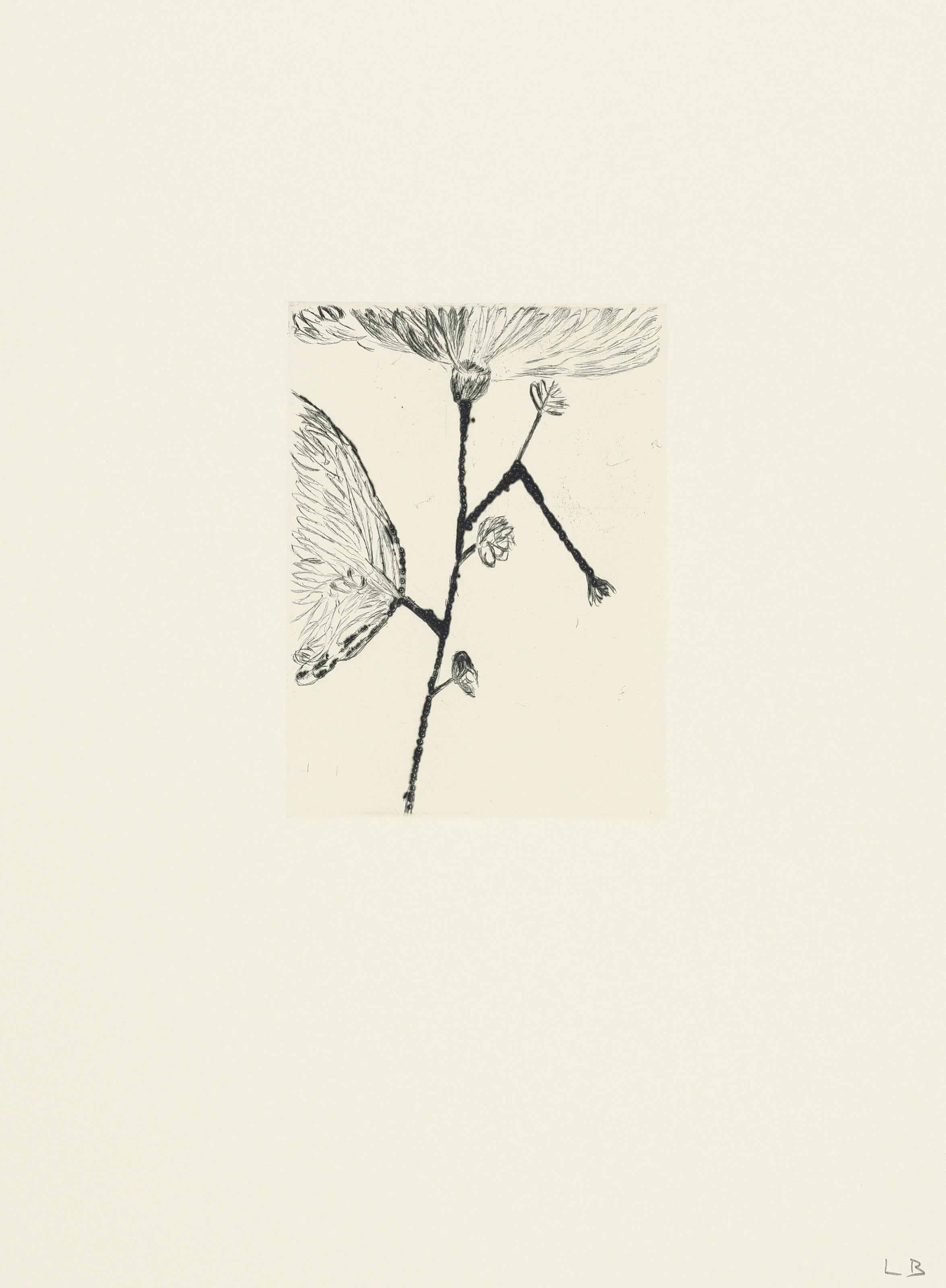 Louise Bourgeois — Невзрачная Девушка, Целая Жизнь, изображение 6
