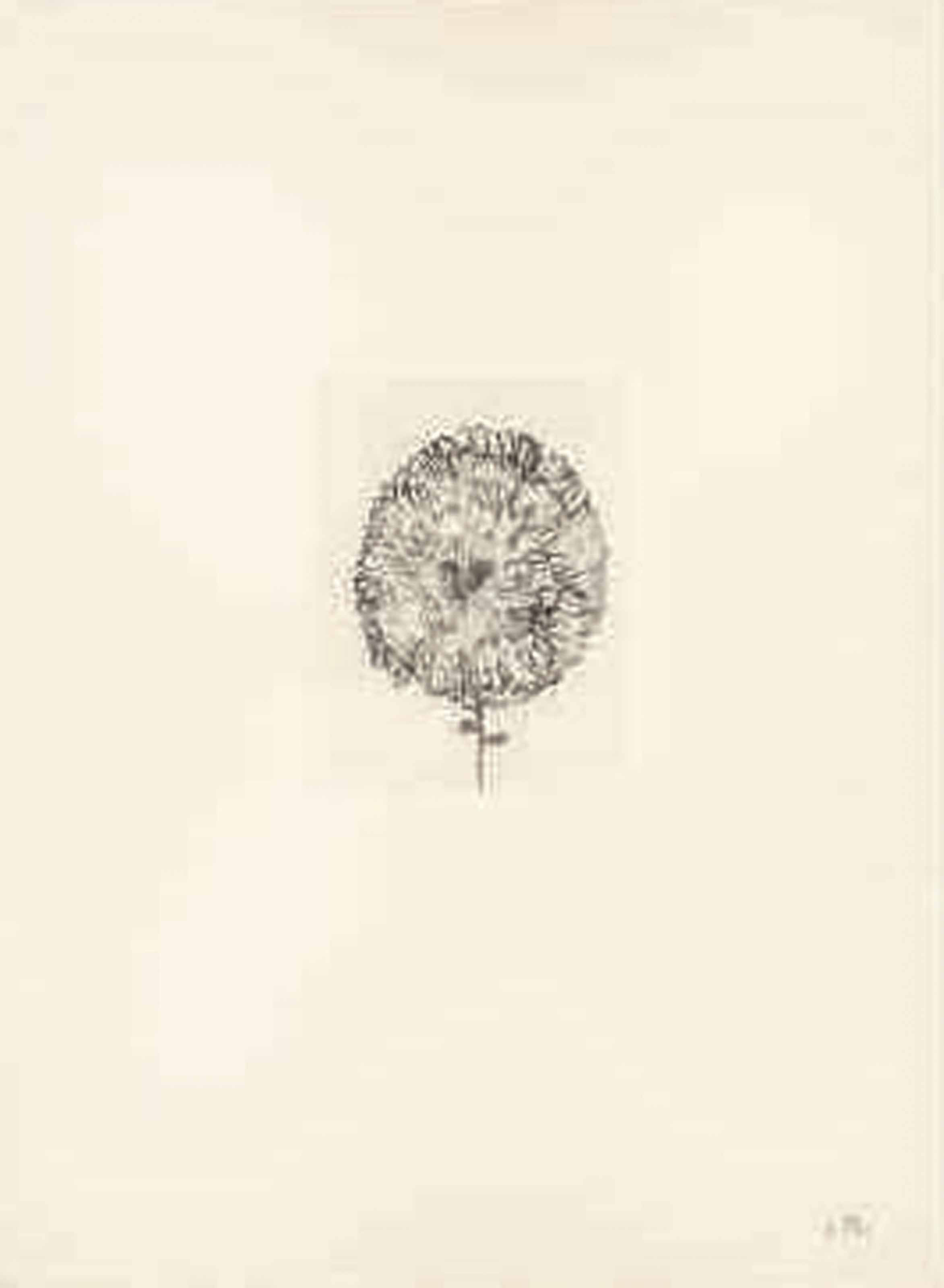 Louise Bourgeois — Невзрачная Девушка, Целая Жизнь, изображение 10