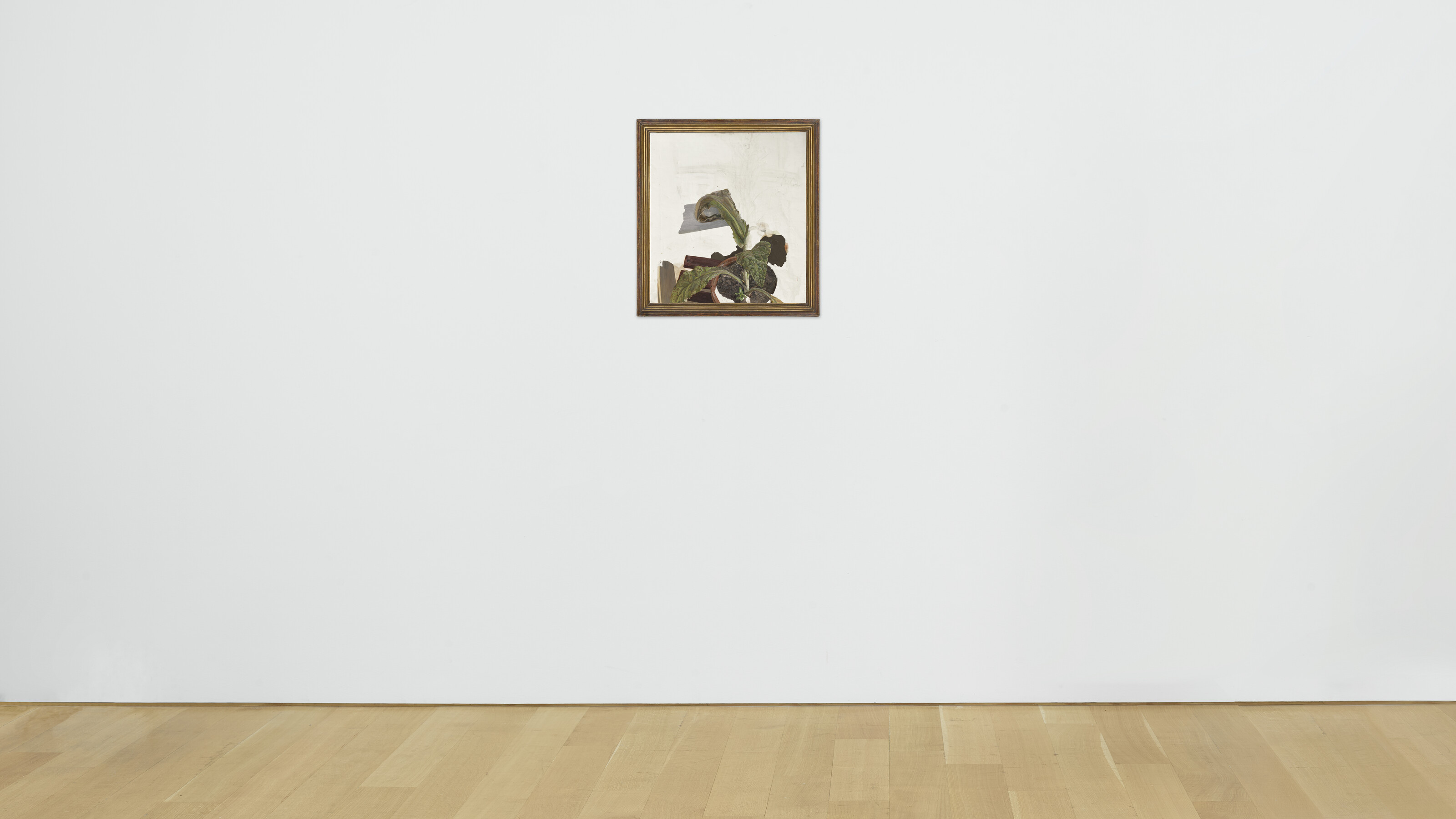 Lucian Freud — Фрагмент растения, изображение 3