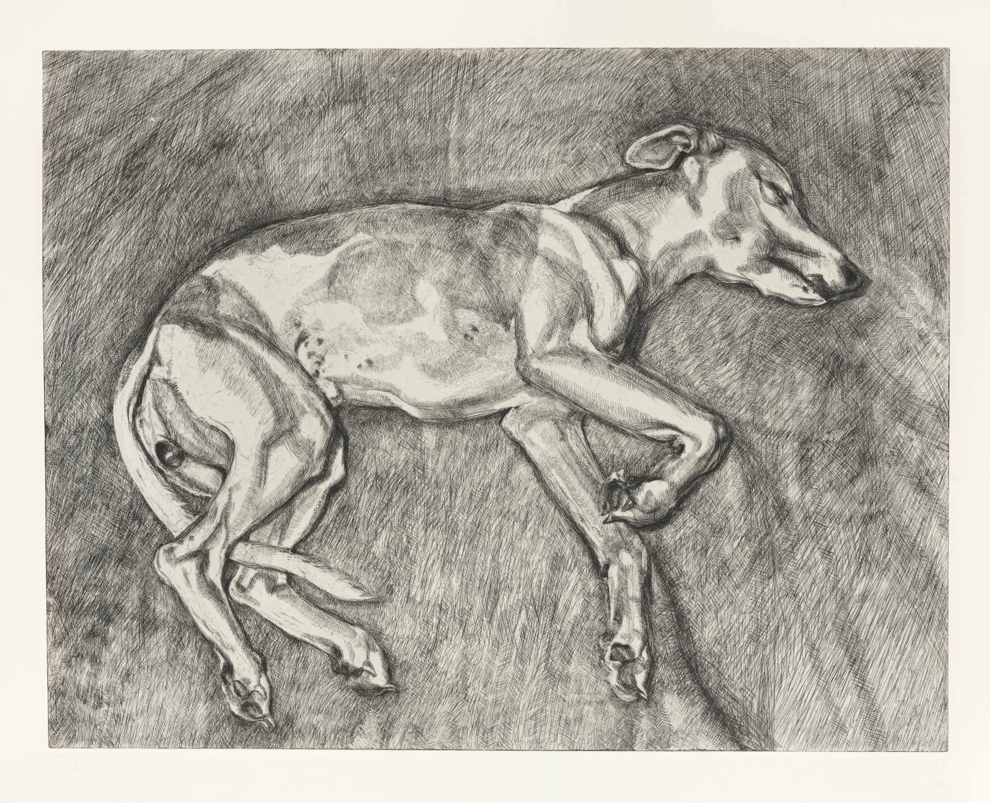 Lucian Freud — Илай, изображение 1