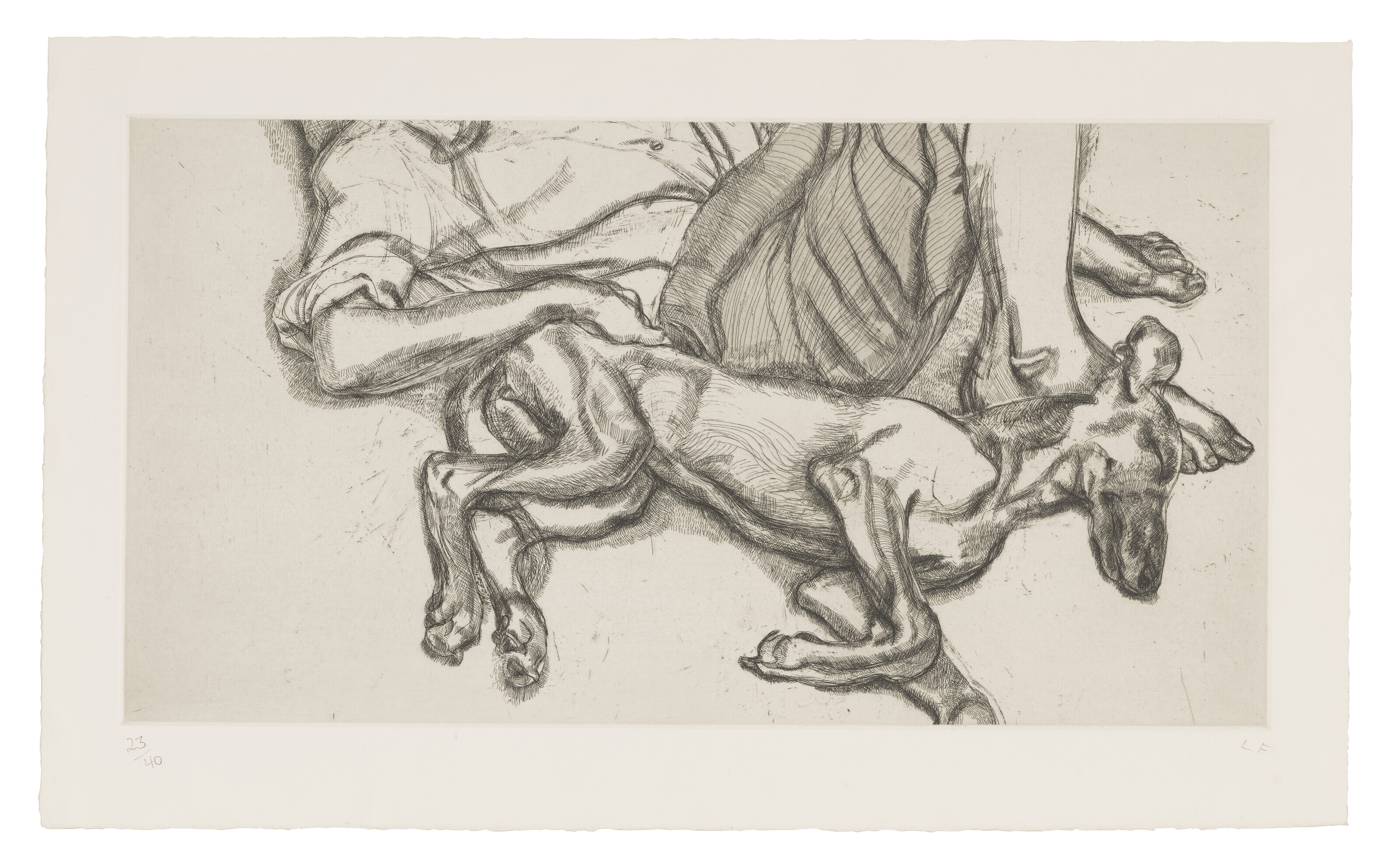 Lucian Freud — Плутон
