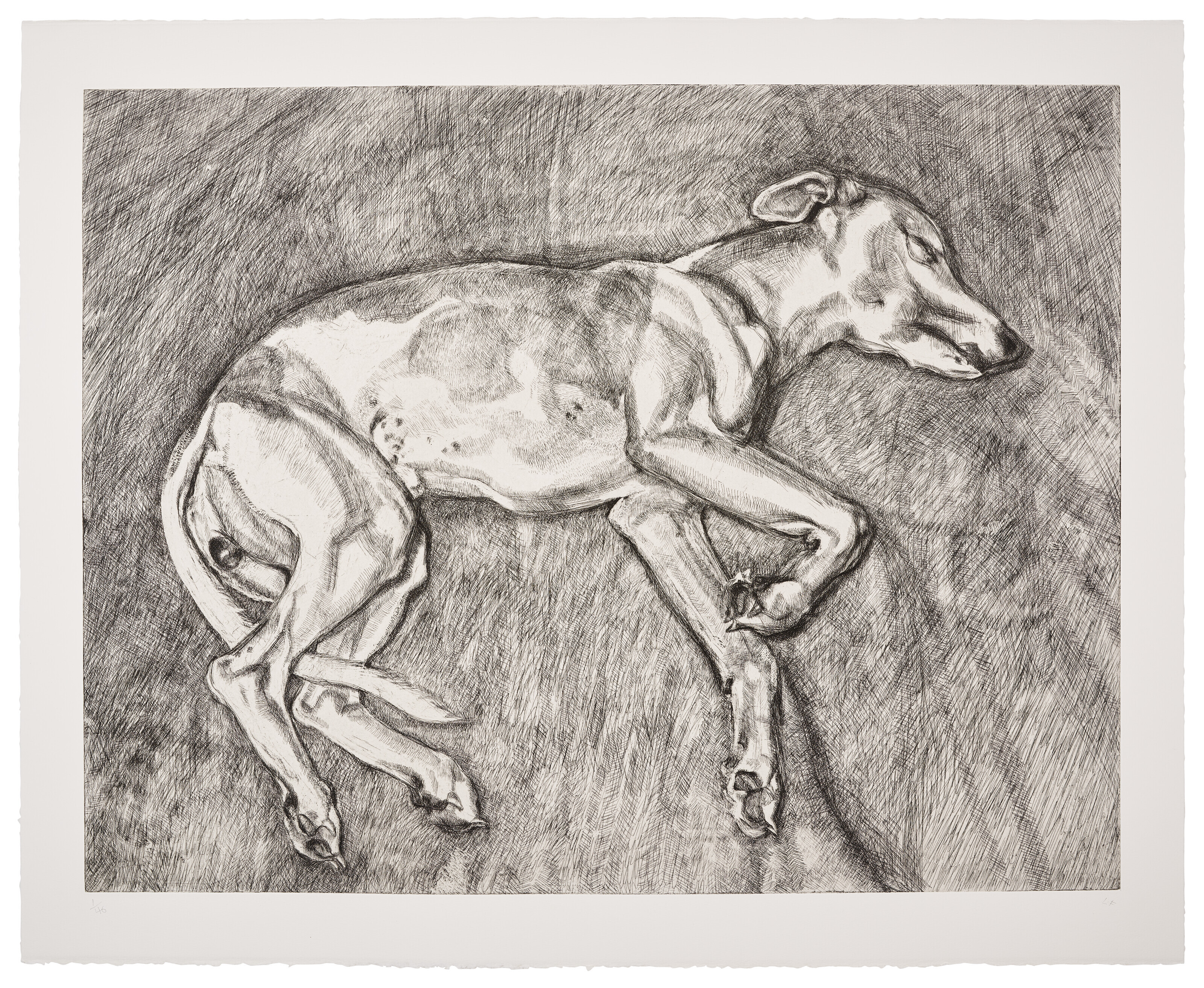 Lucian Freud — Илай