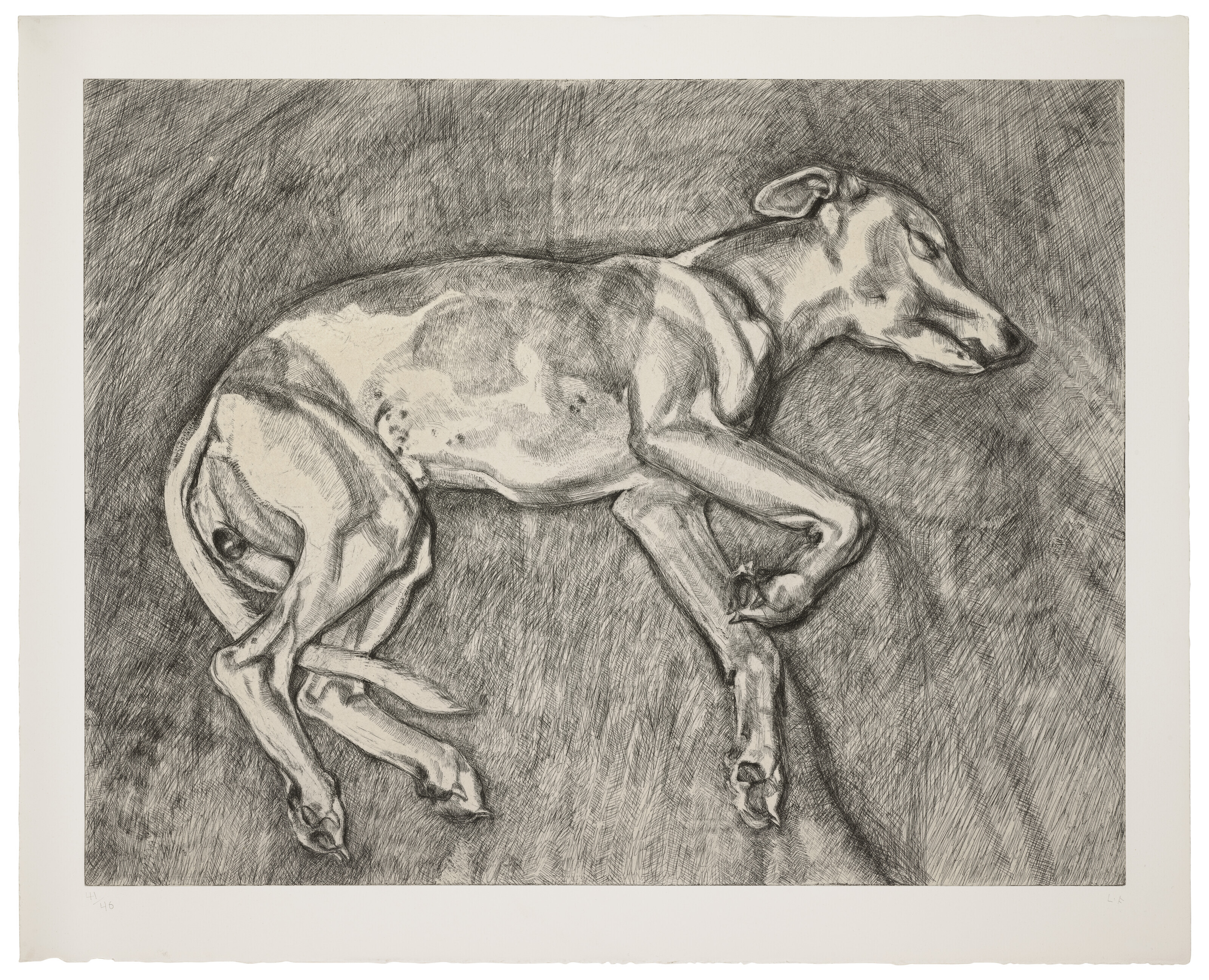 Lucian Freud — Илай