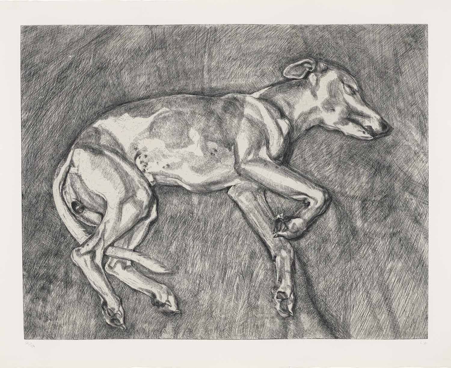 Lucian Freud — Илай