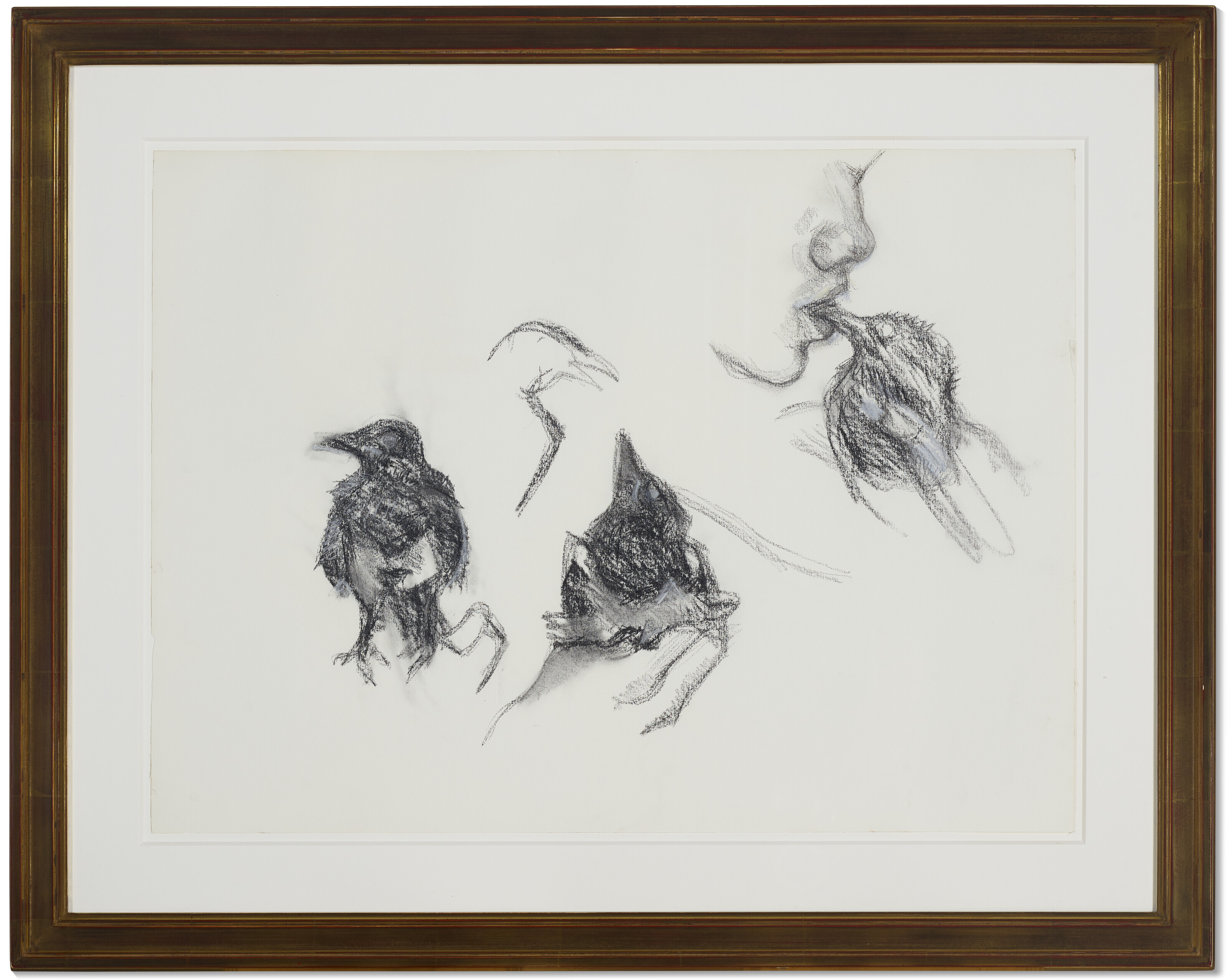 Lucian Freud — Молодая сорока, изображение 2