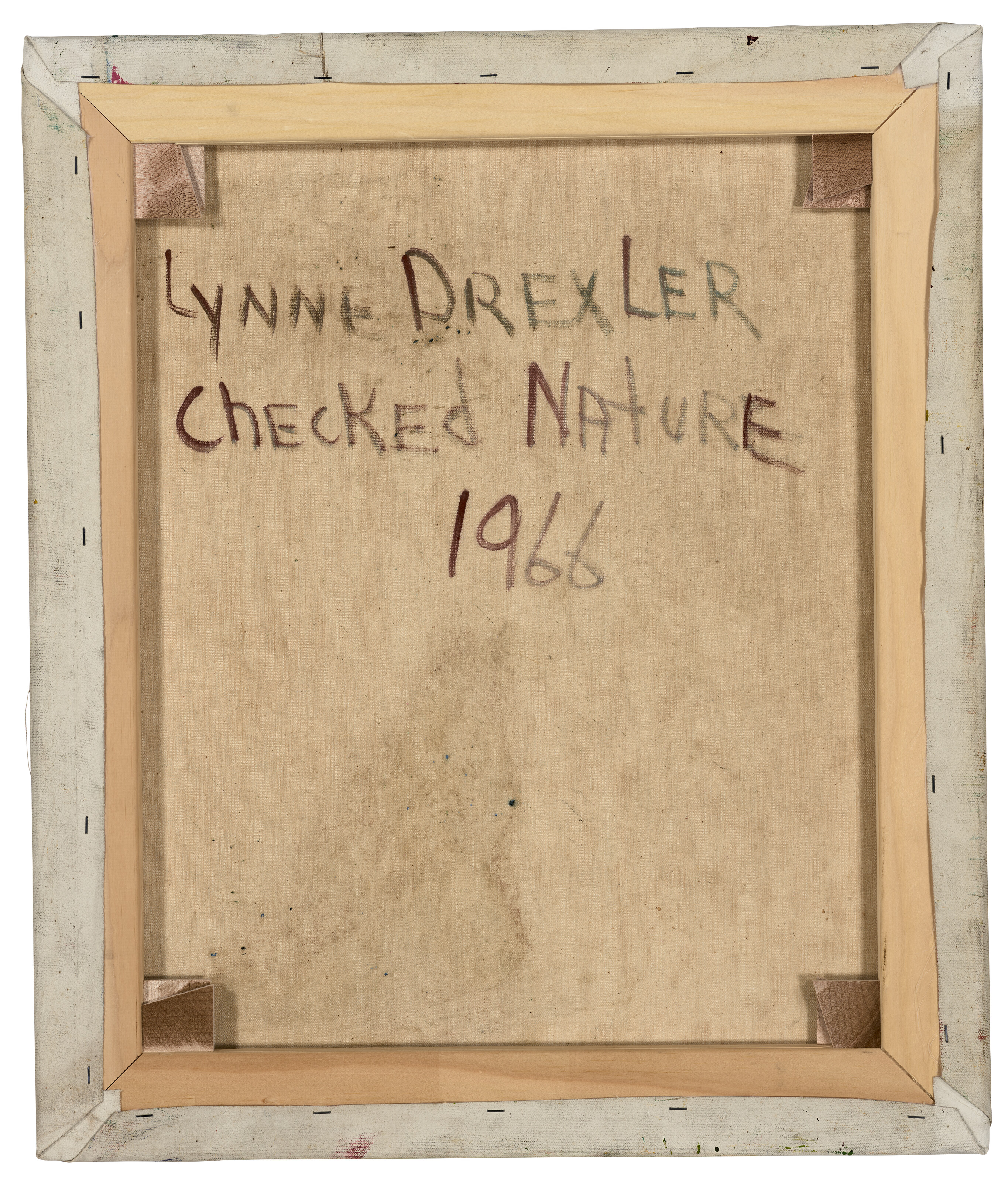 Lynne Drexler — Сдерживаемая природа, изображение 3