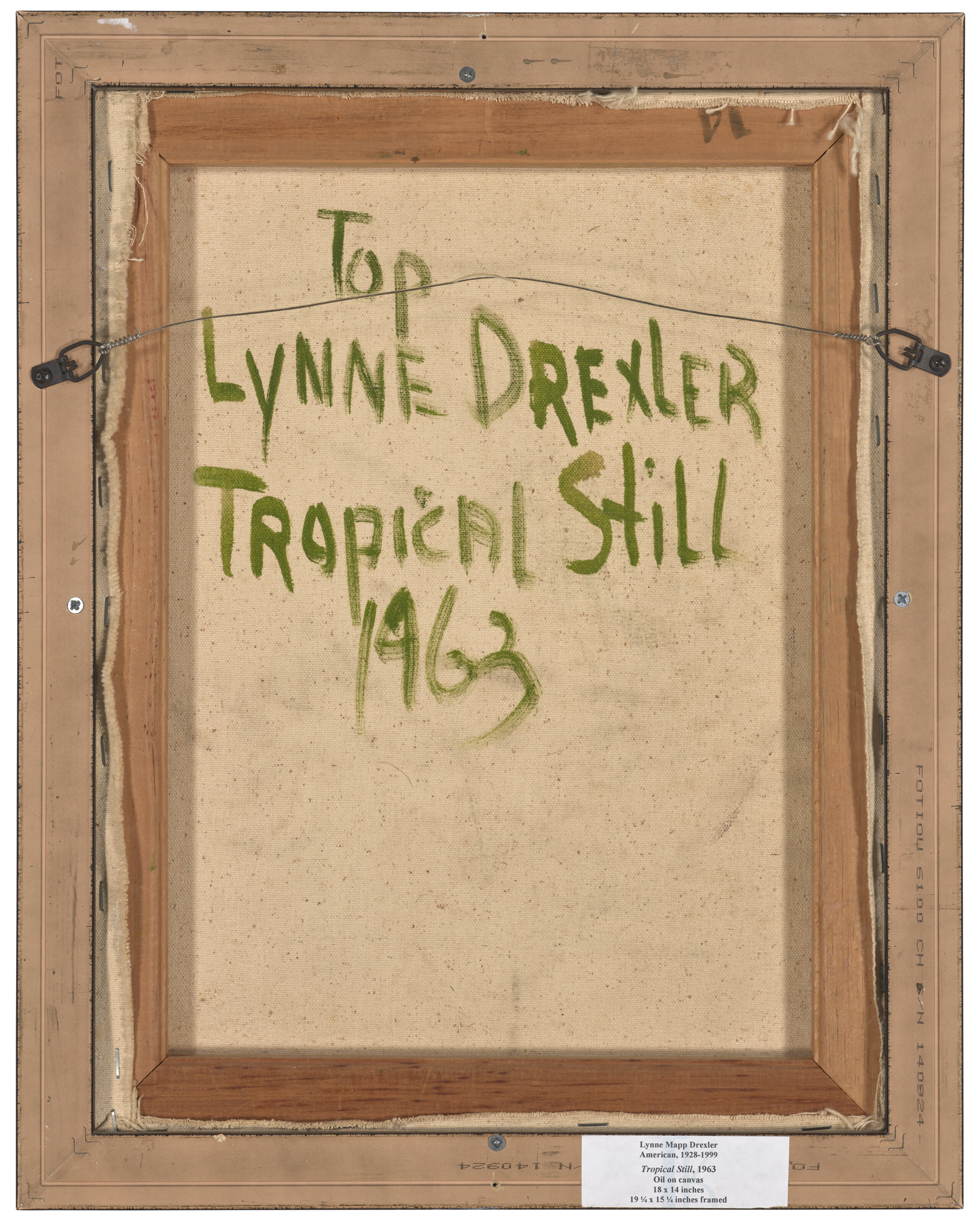 Lynne Drexler — Все еще тропический, изображение 3