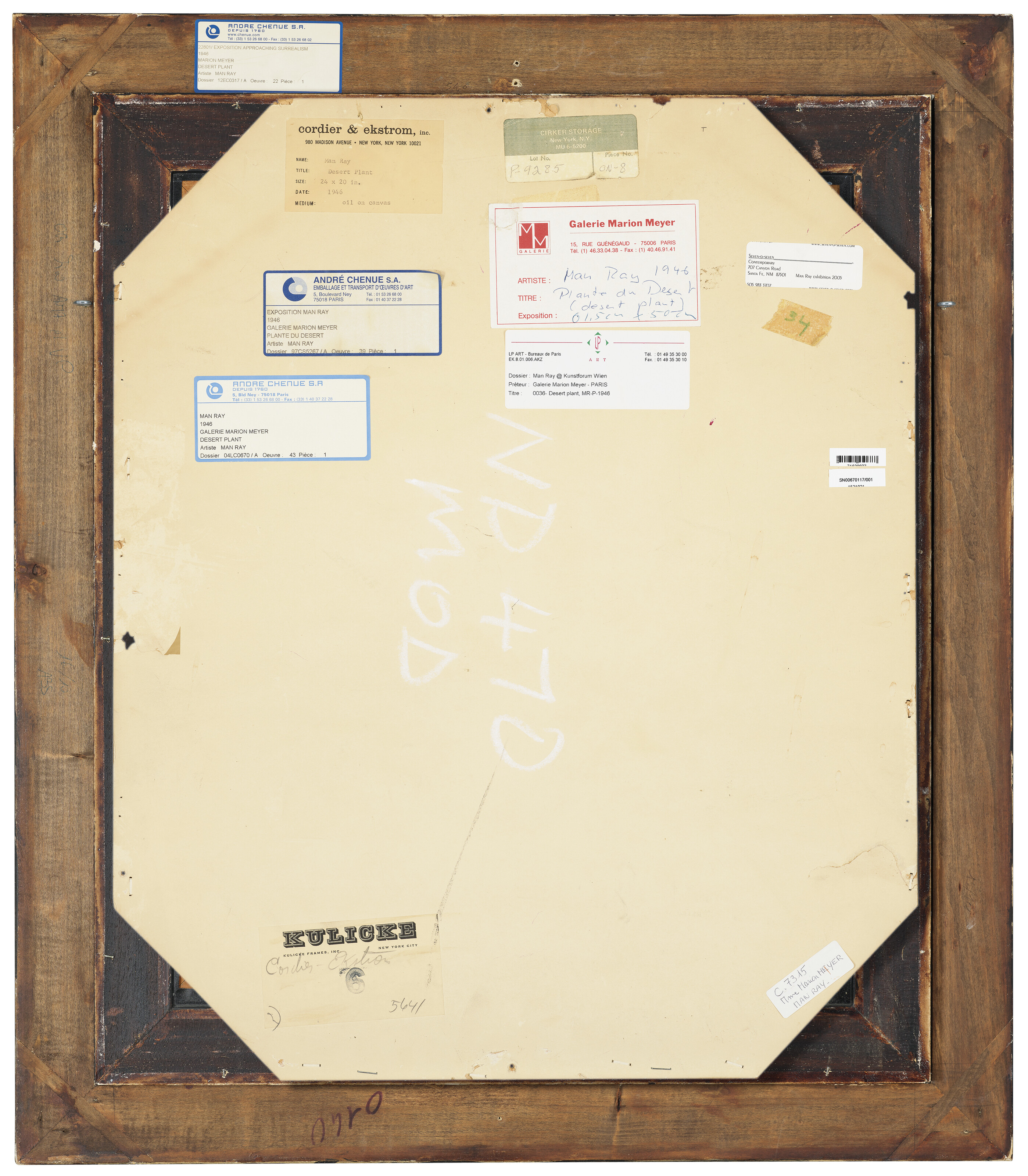 Man Ray — Пустынное растение, изображение 5