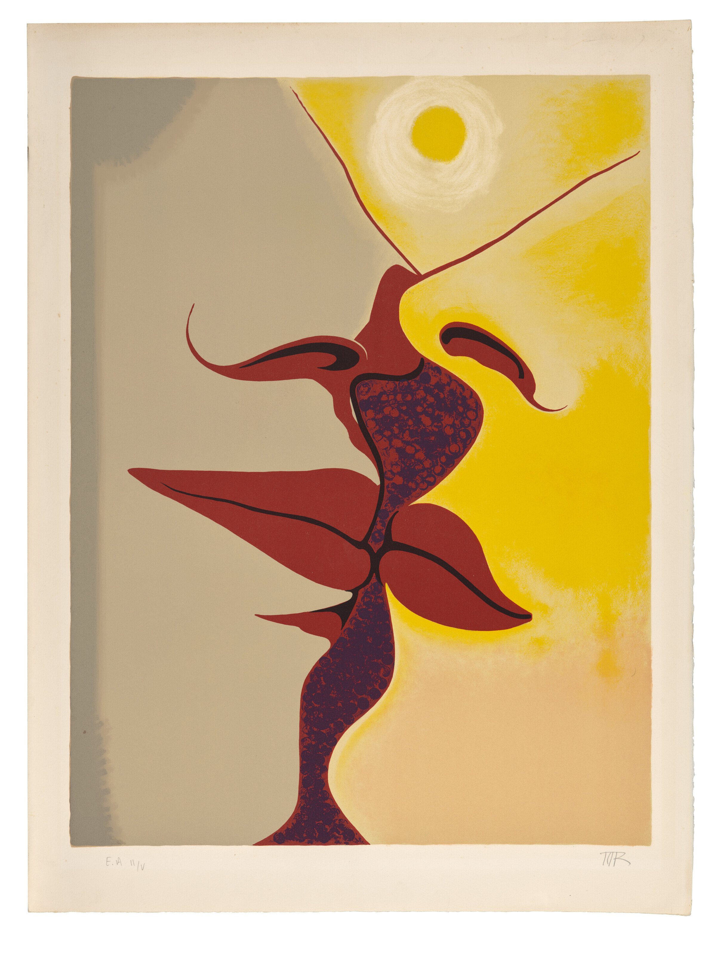Man Ray — Изображение с двумя лицами, изображение 2