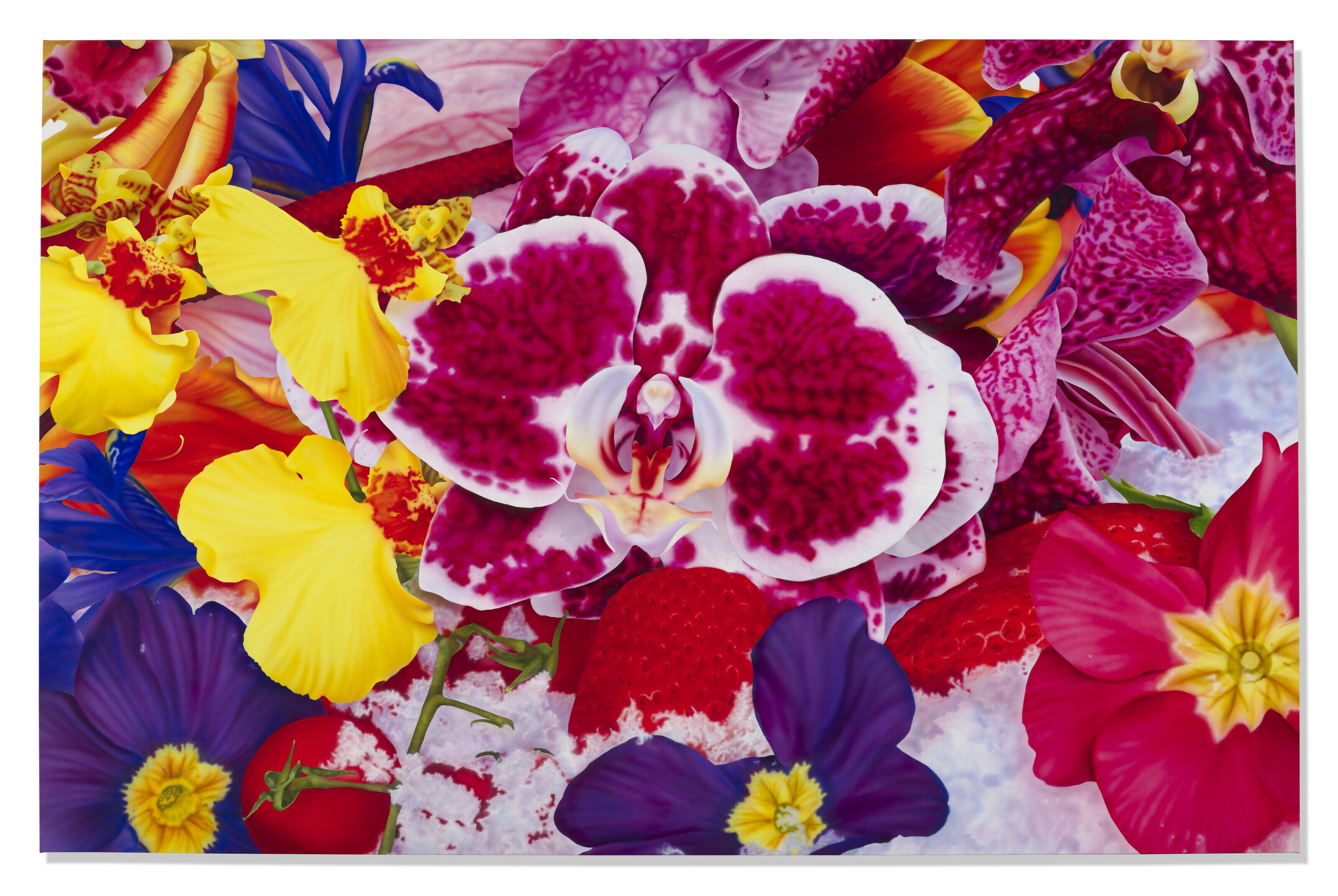 Marc Quinn — Восход солнца на горе Фудзи