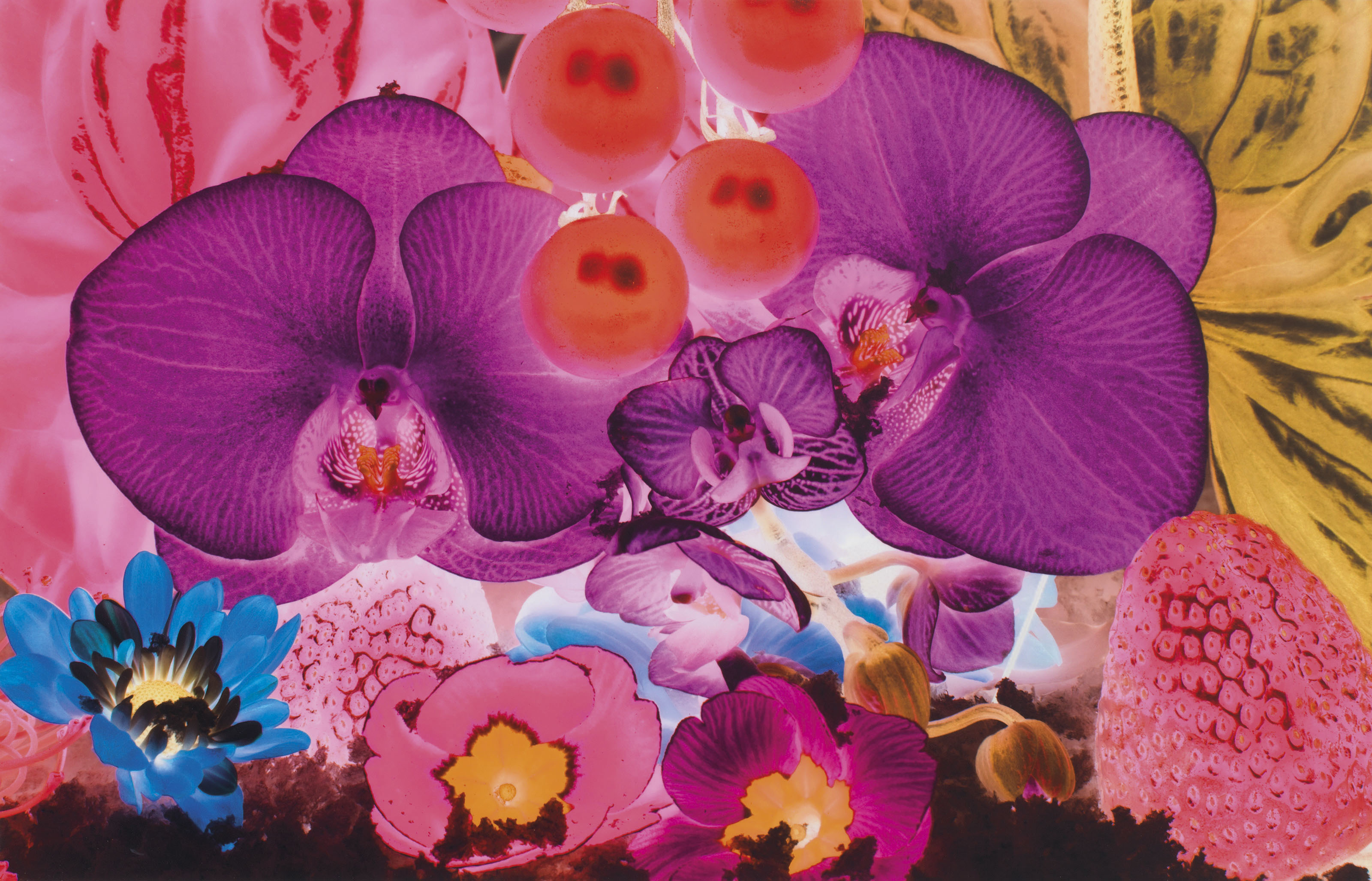 Marc Quinn — На дальних окраинах Вселенной : семь тарелок, изображение 5